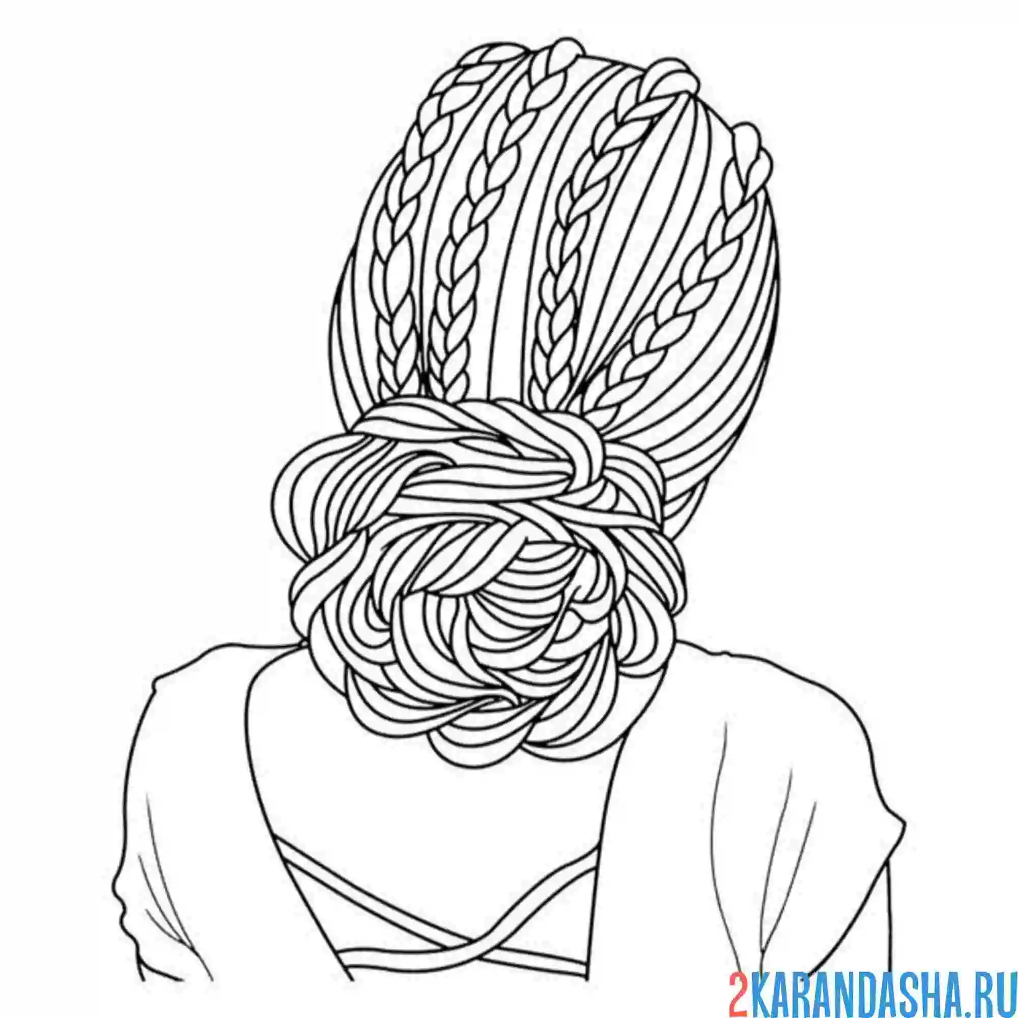 Раскраска прическа с косичками и пучком