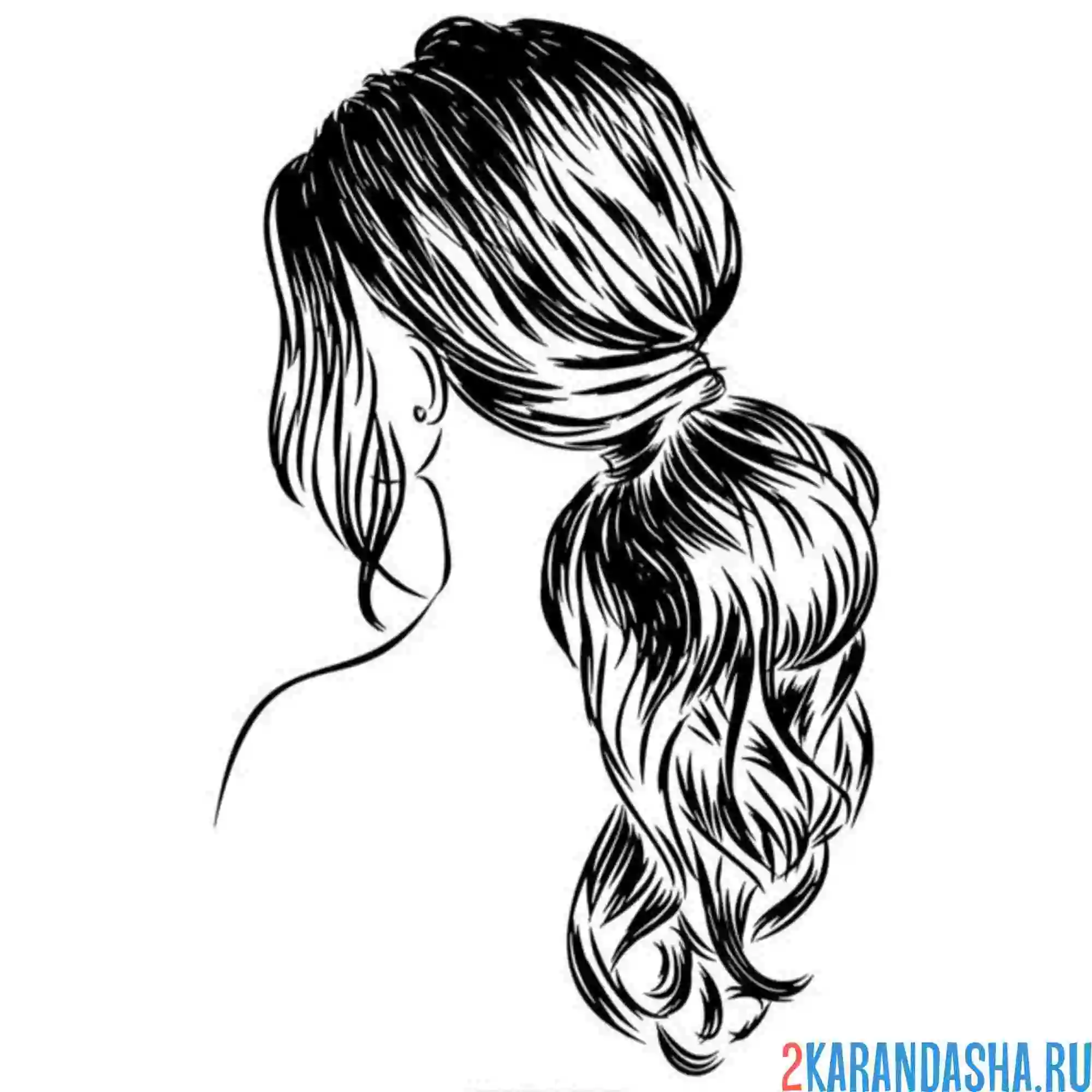 Раскраска девушка хвост снизу пучок волосы