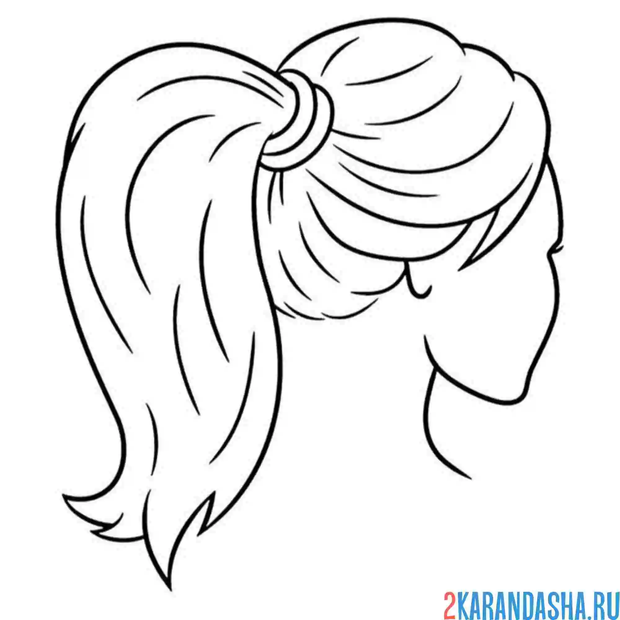 Раскраска хвост наверху прическа волосы