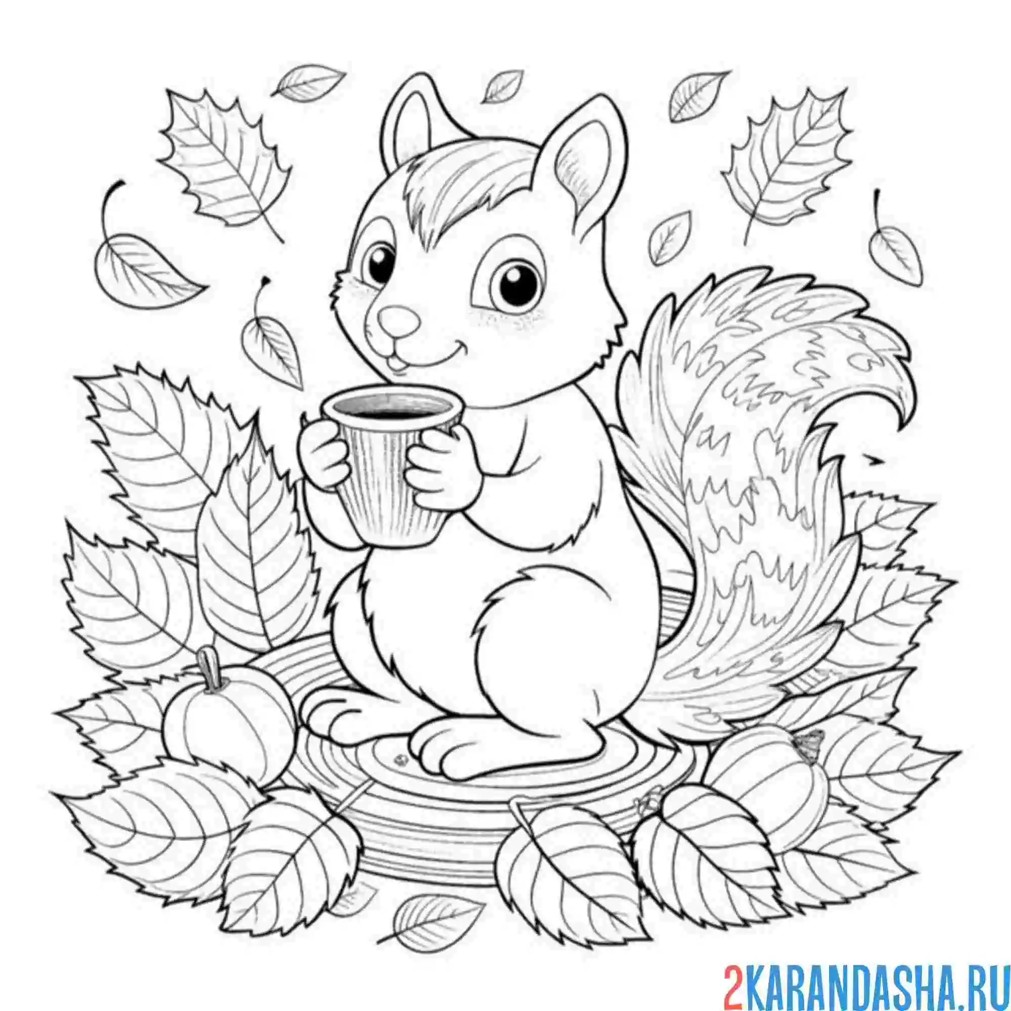Раскраска белочка осенью пьет какао