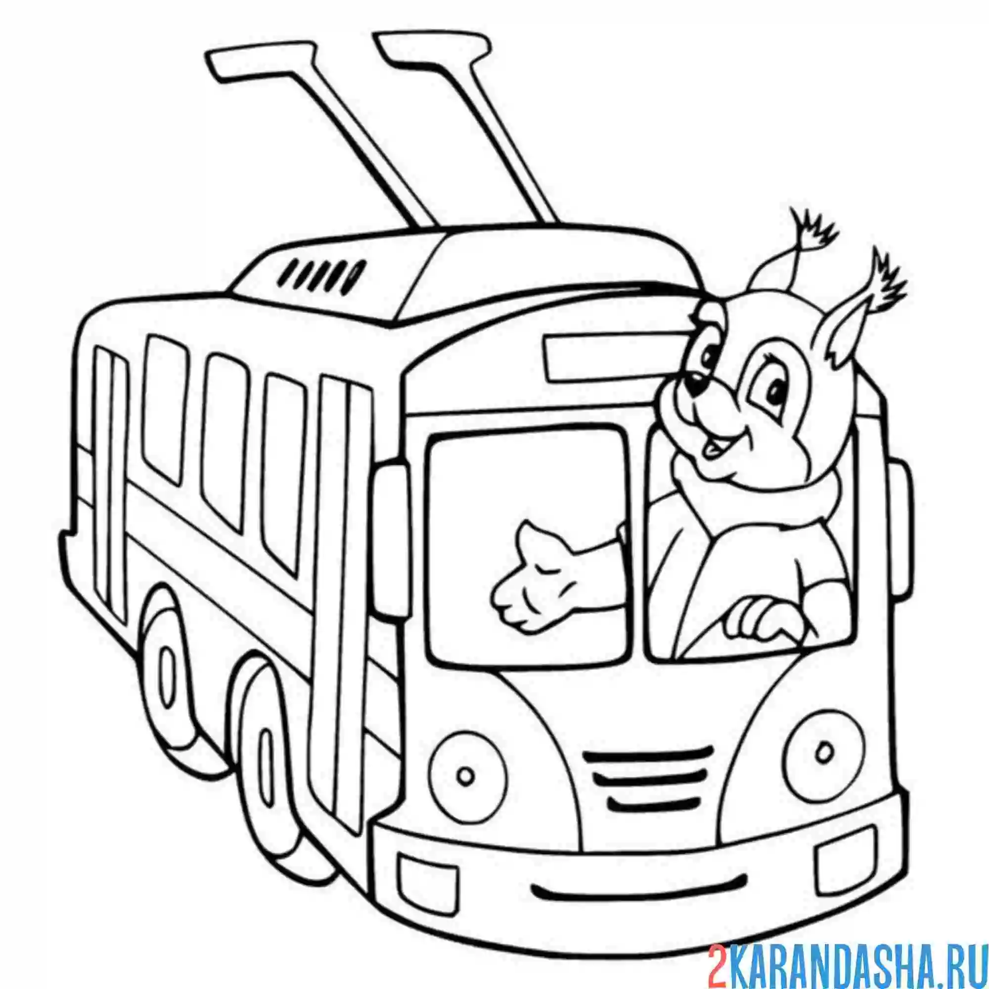 Раскраска белка в троллейбусе