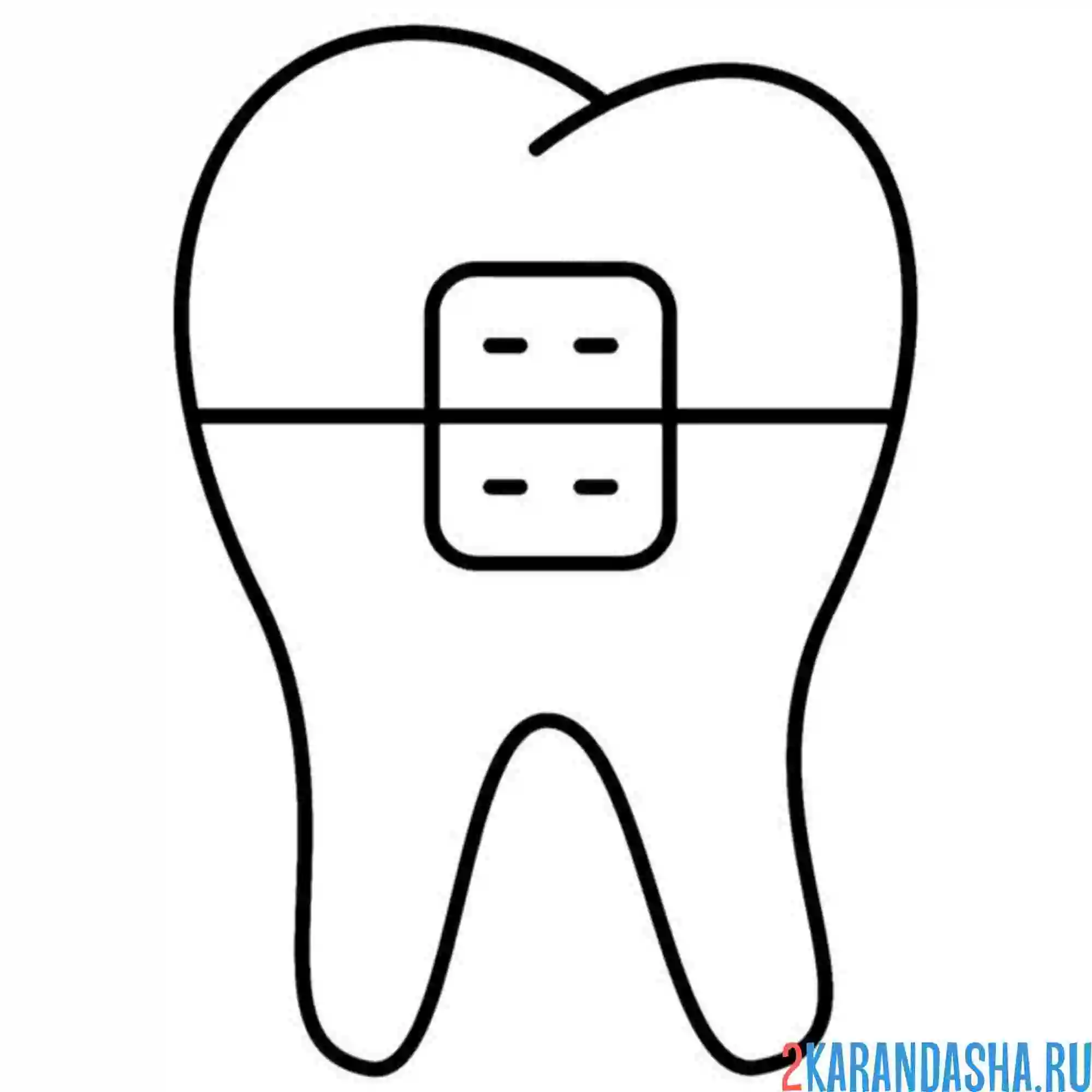 Раскраска брекеты зуб