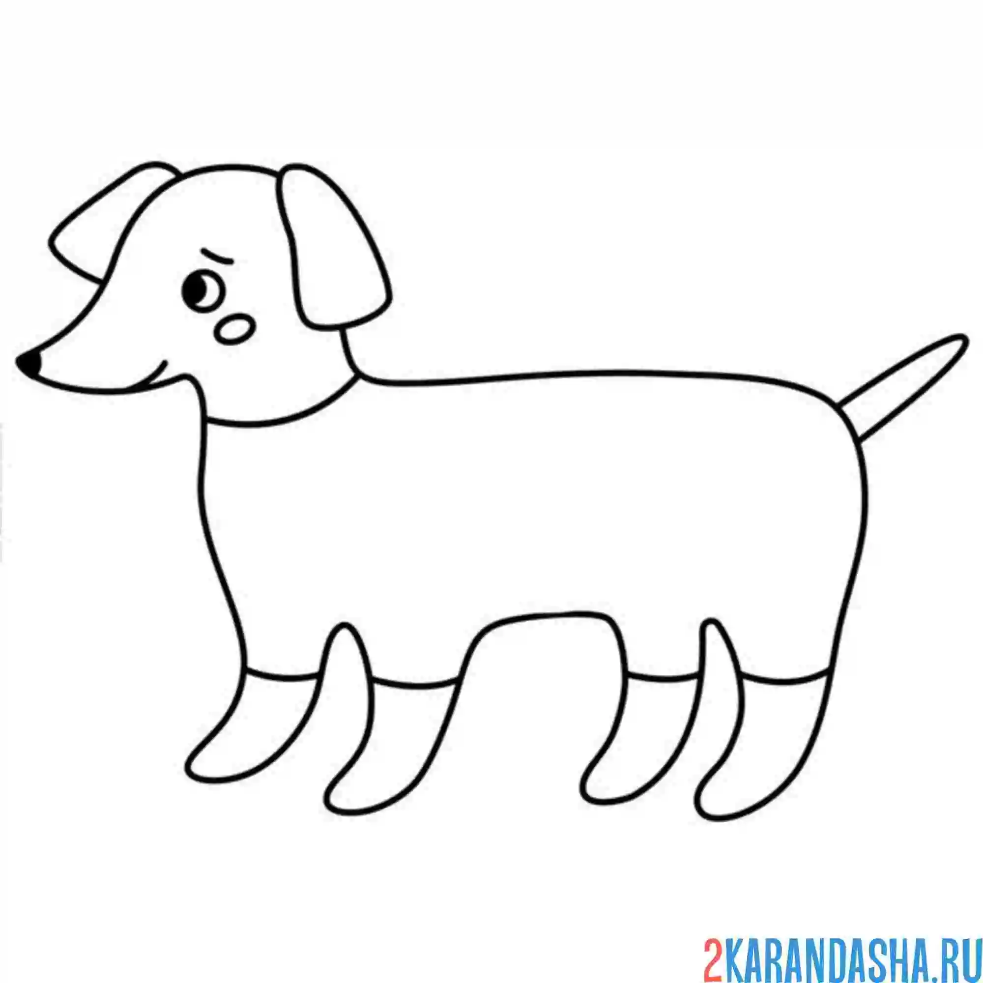 Раскраска такса простой рисунок