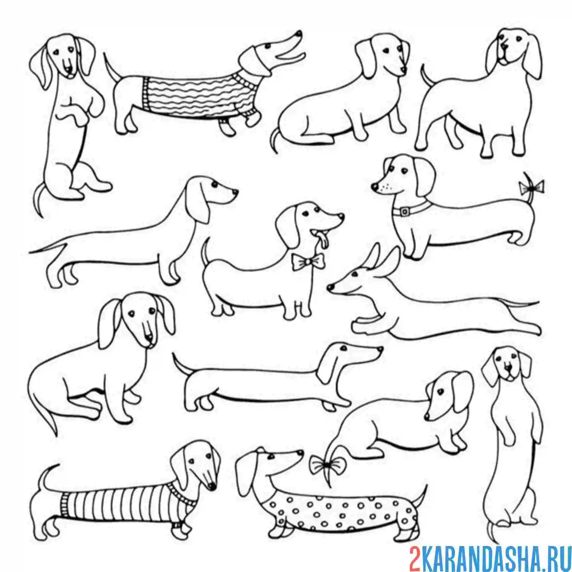 Раскраска такса иконки