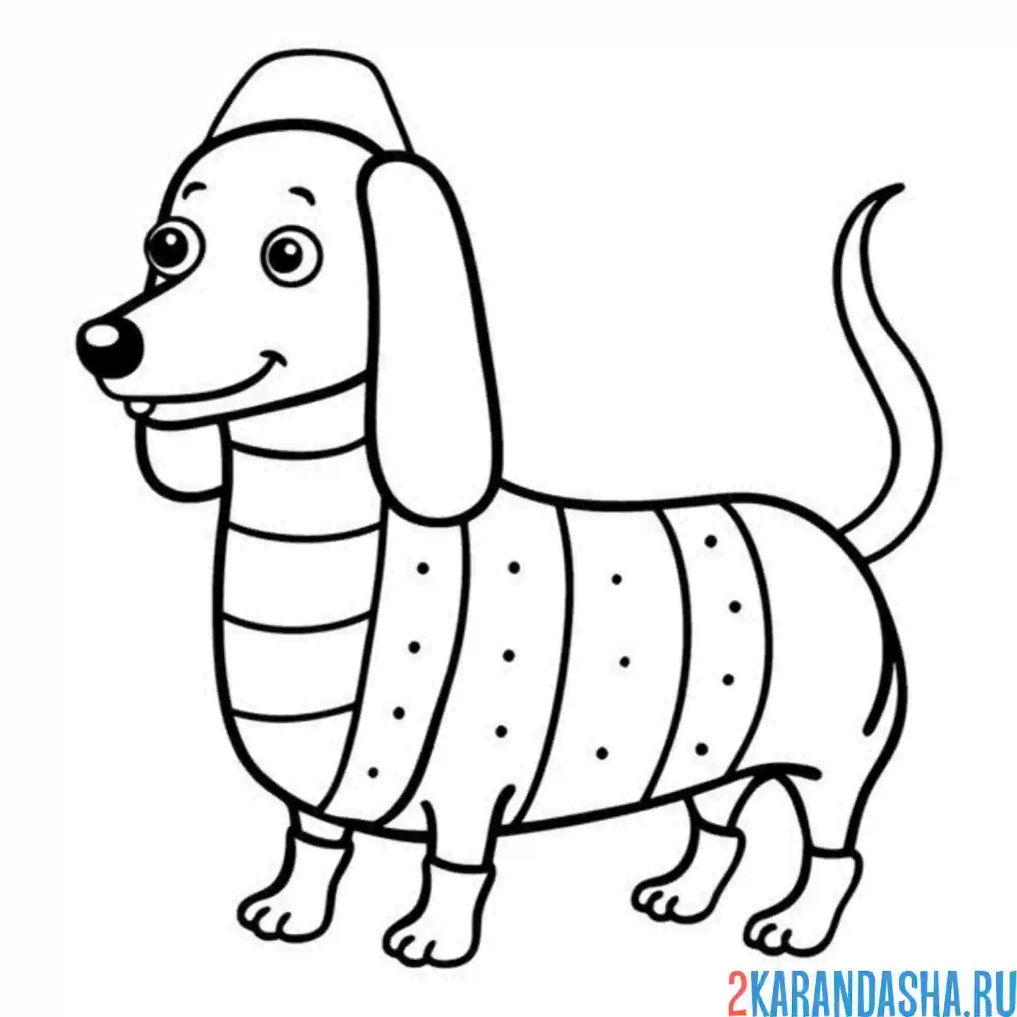 Раскраска такса в кофте