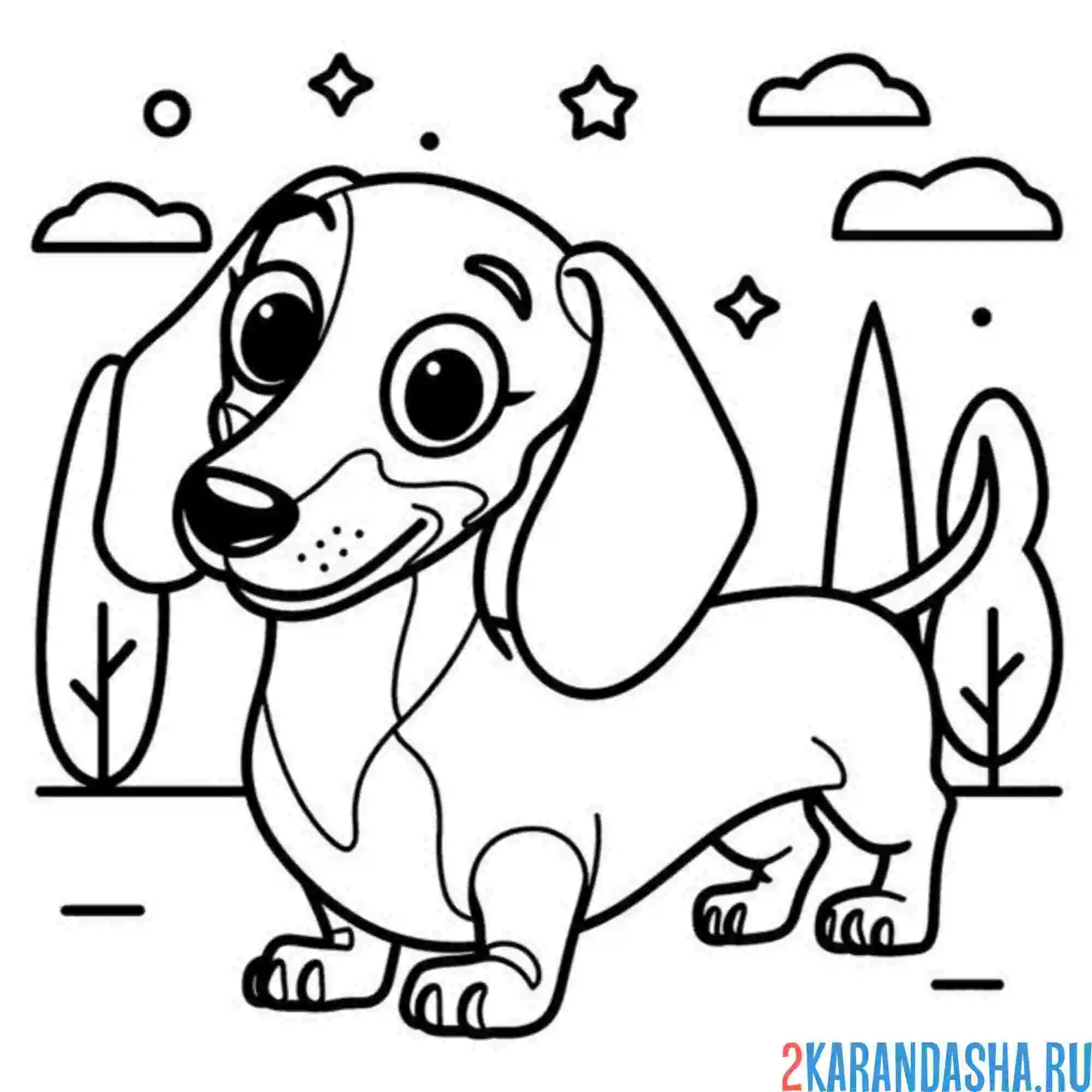 Раскраска милашка такса собака