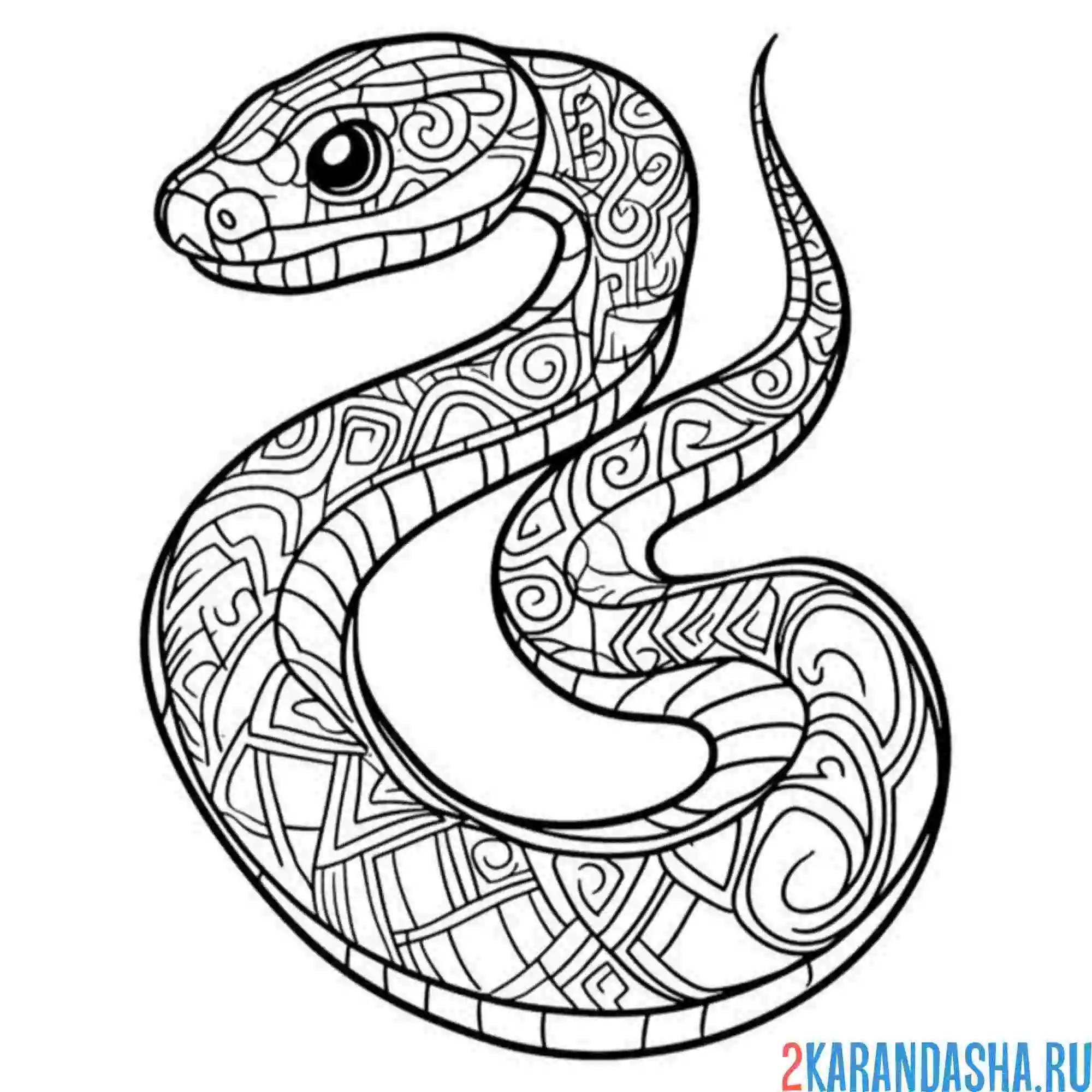 Раскраска антистресс змея символ нового года