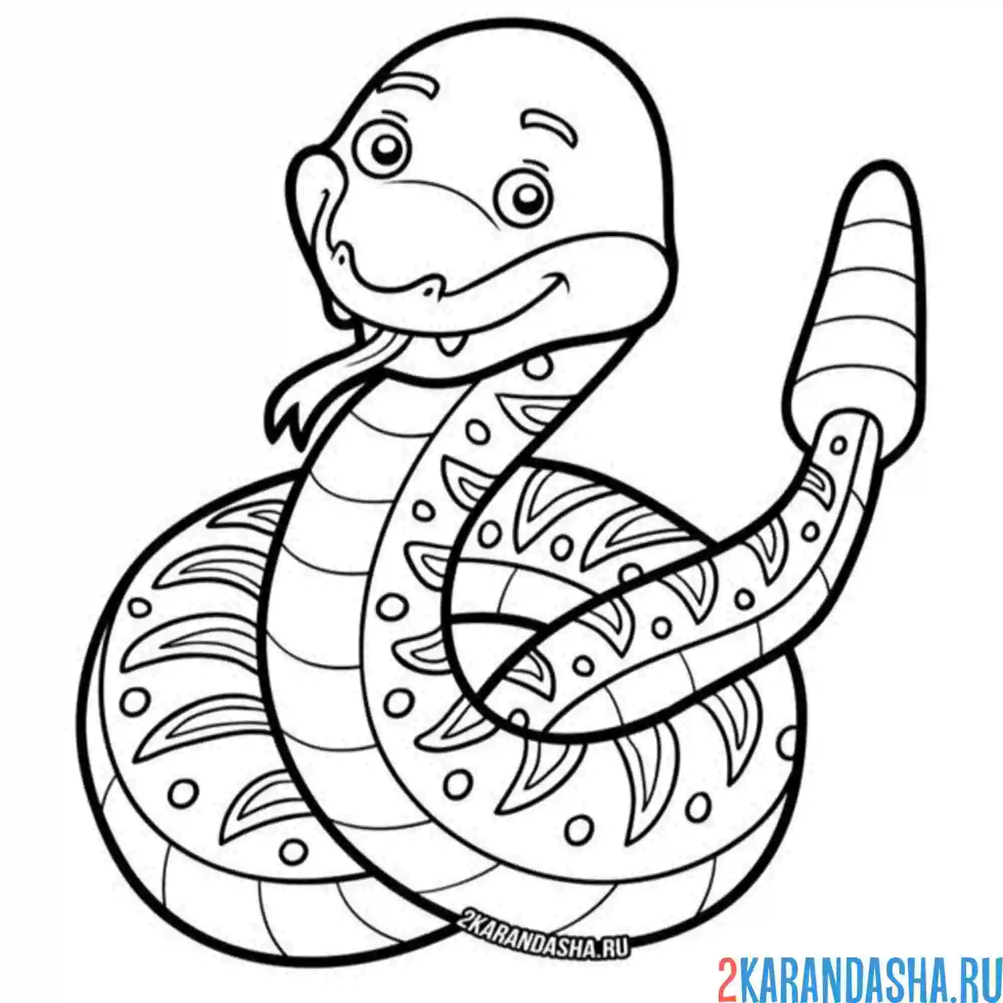 Раскраска гремучая змея 2025