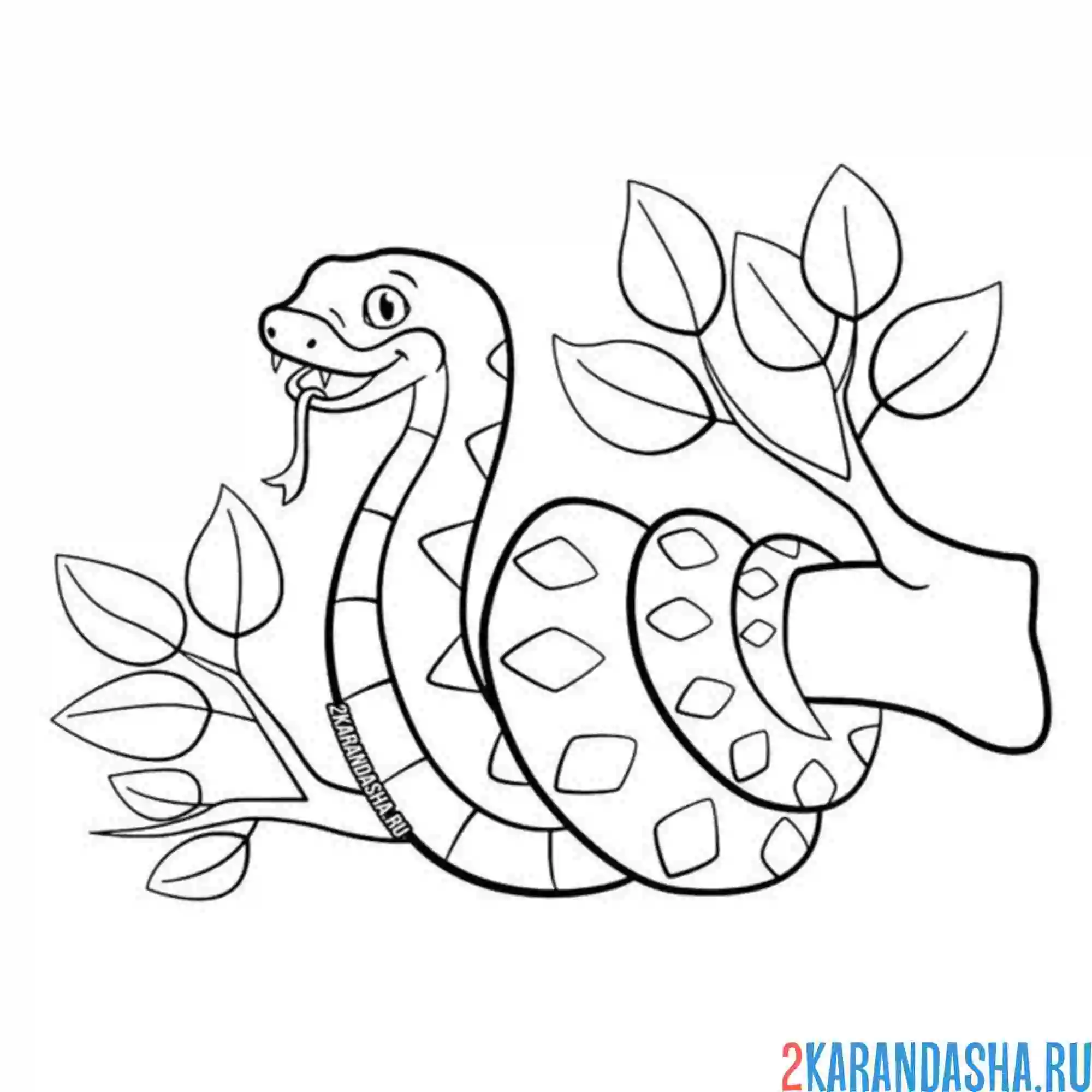 Раскраска змея на ветке летом