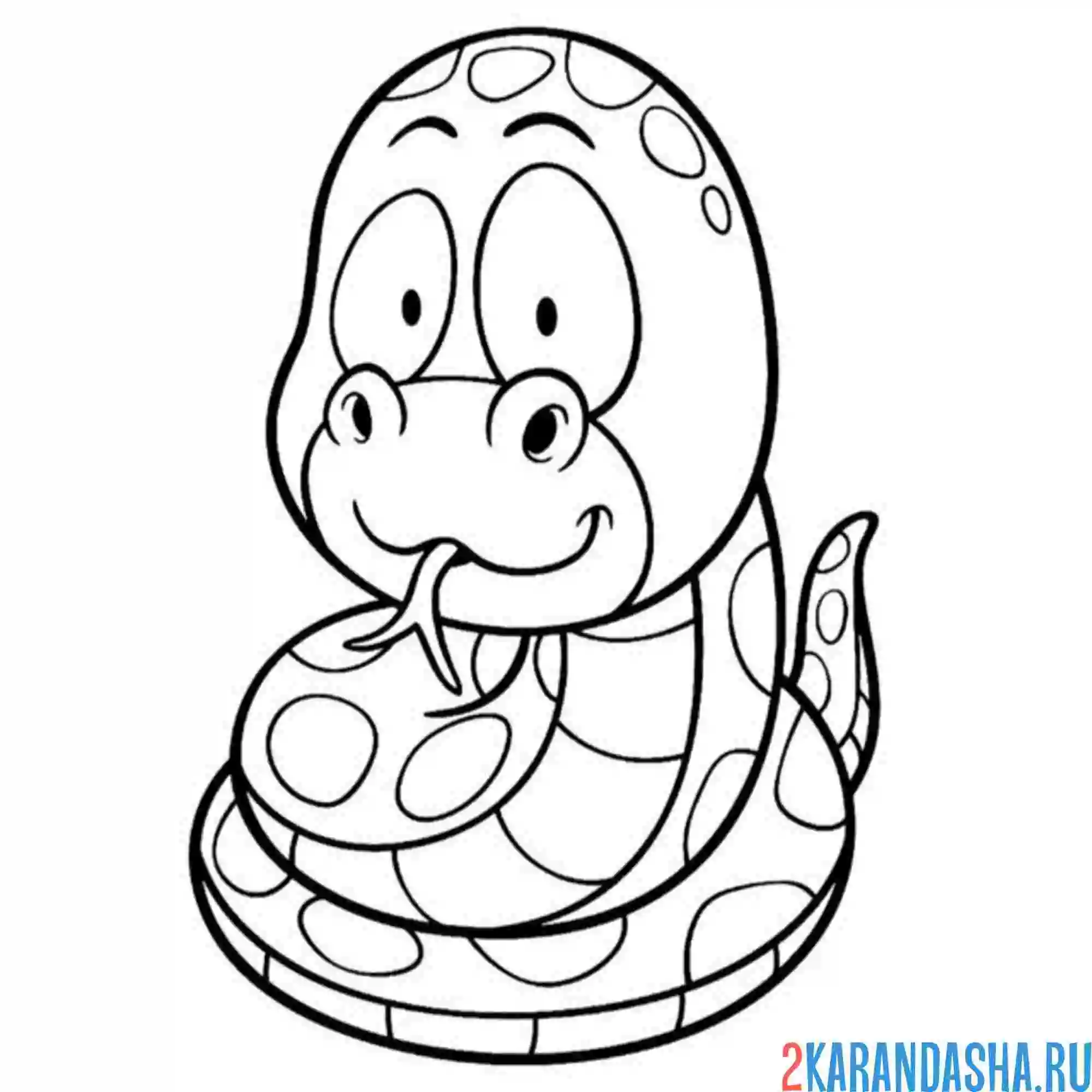 Раскраска малышка змейка