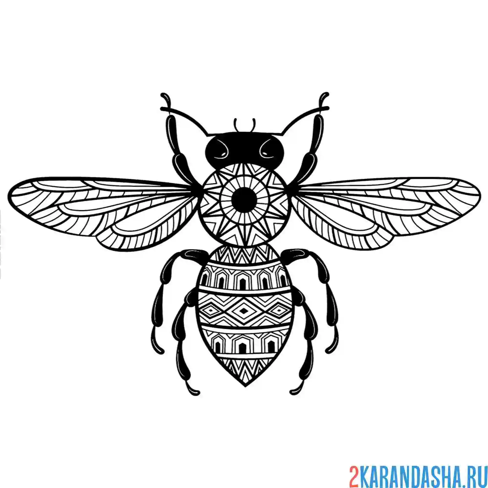 Раскраска пчела антистресс