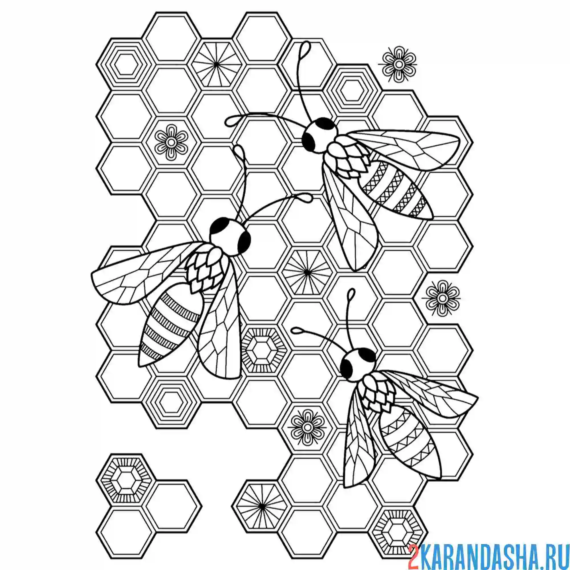 Раскраска пчелы и соты