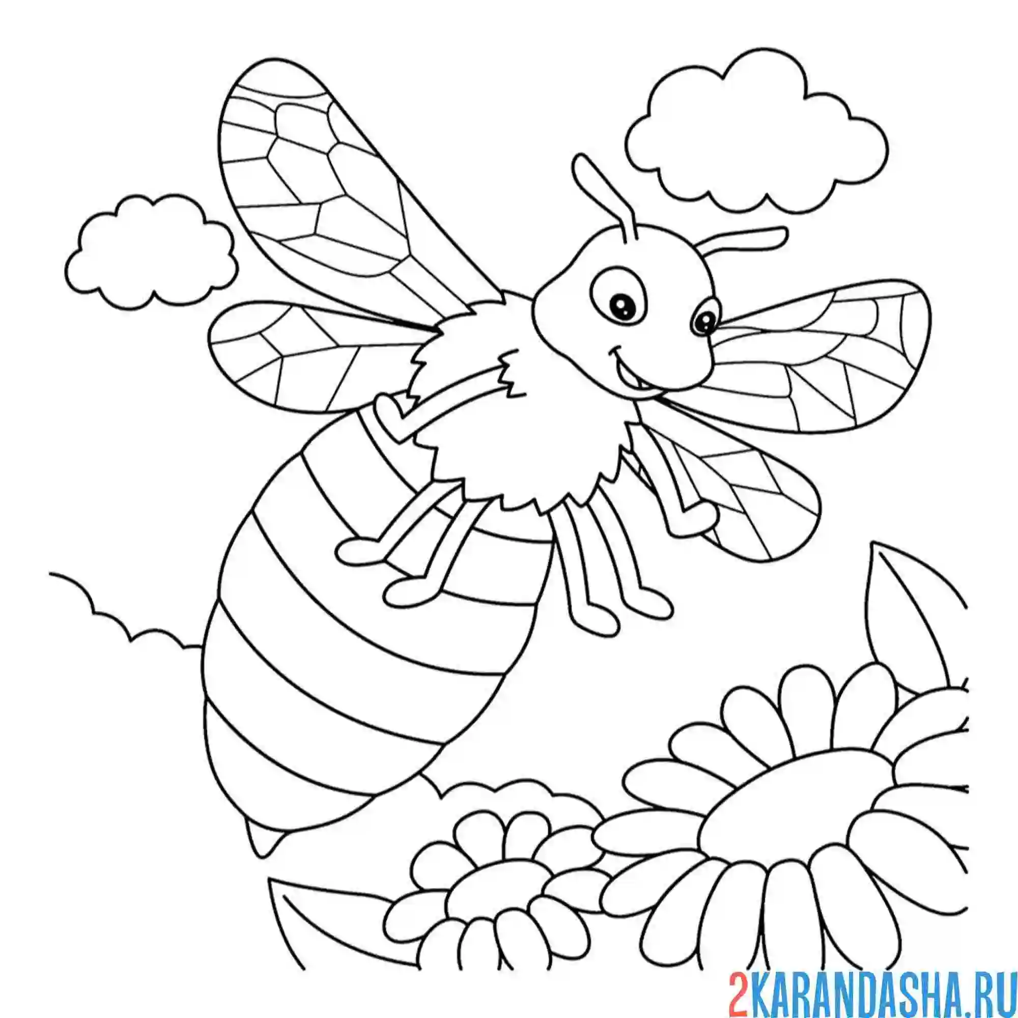 Раскраска большая пчела с ромашкой