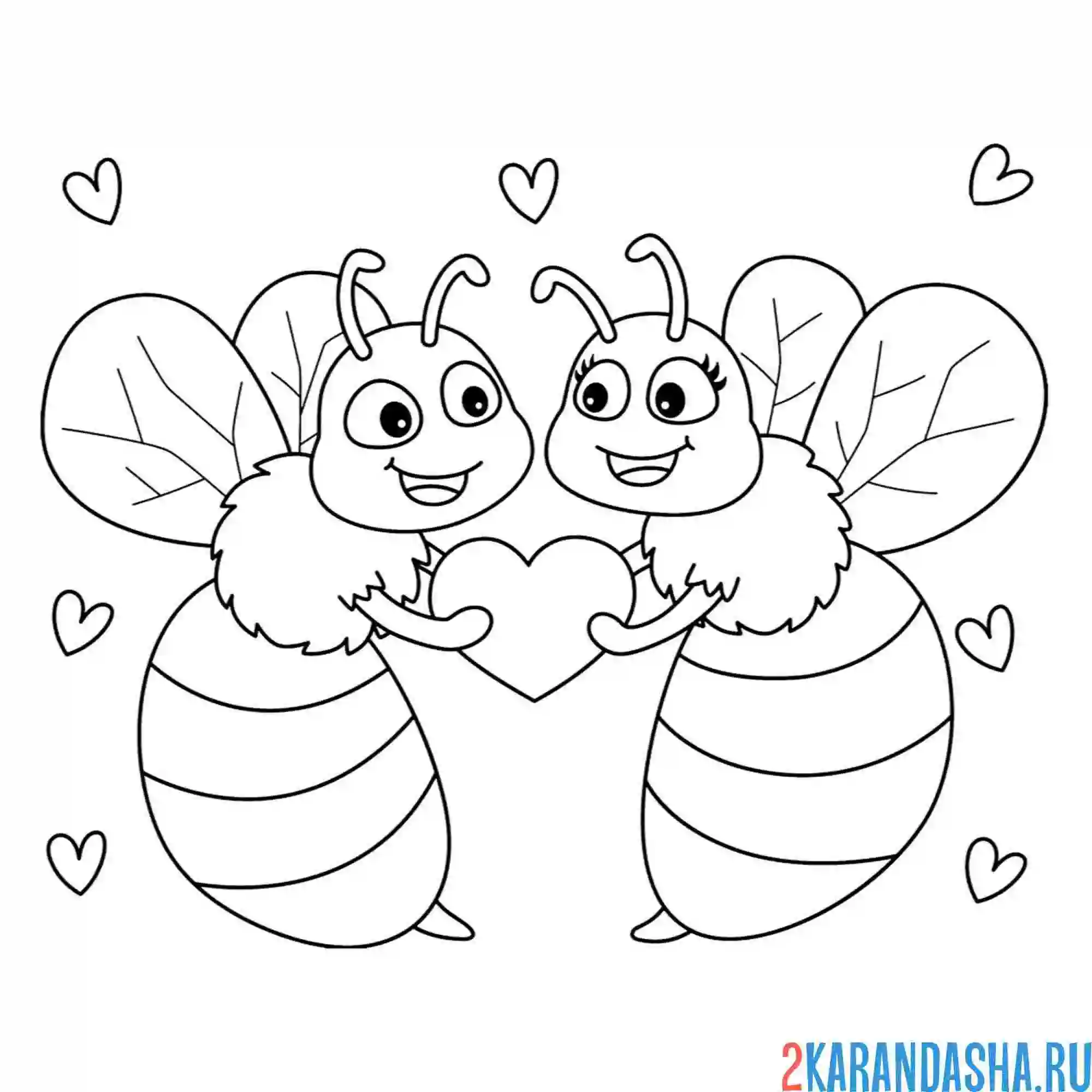 Раскраска любовь пчелы