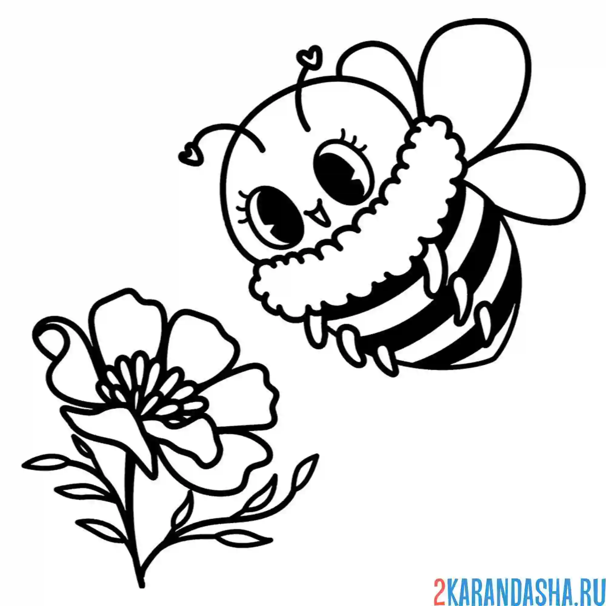 Раскраска хорошенькая пчела и цветочек