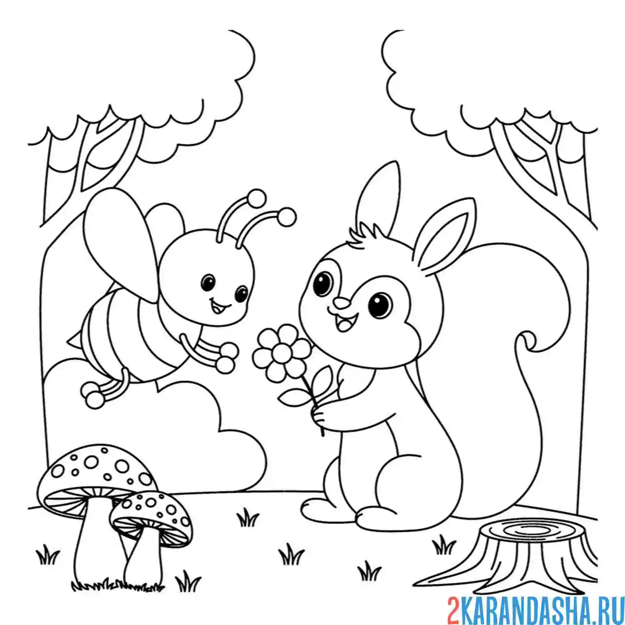 Раскраска пчела и белка