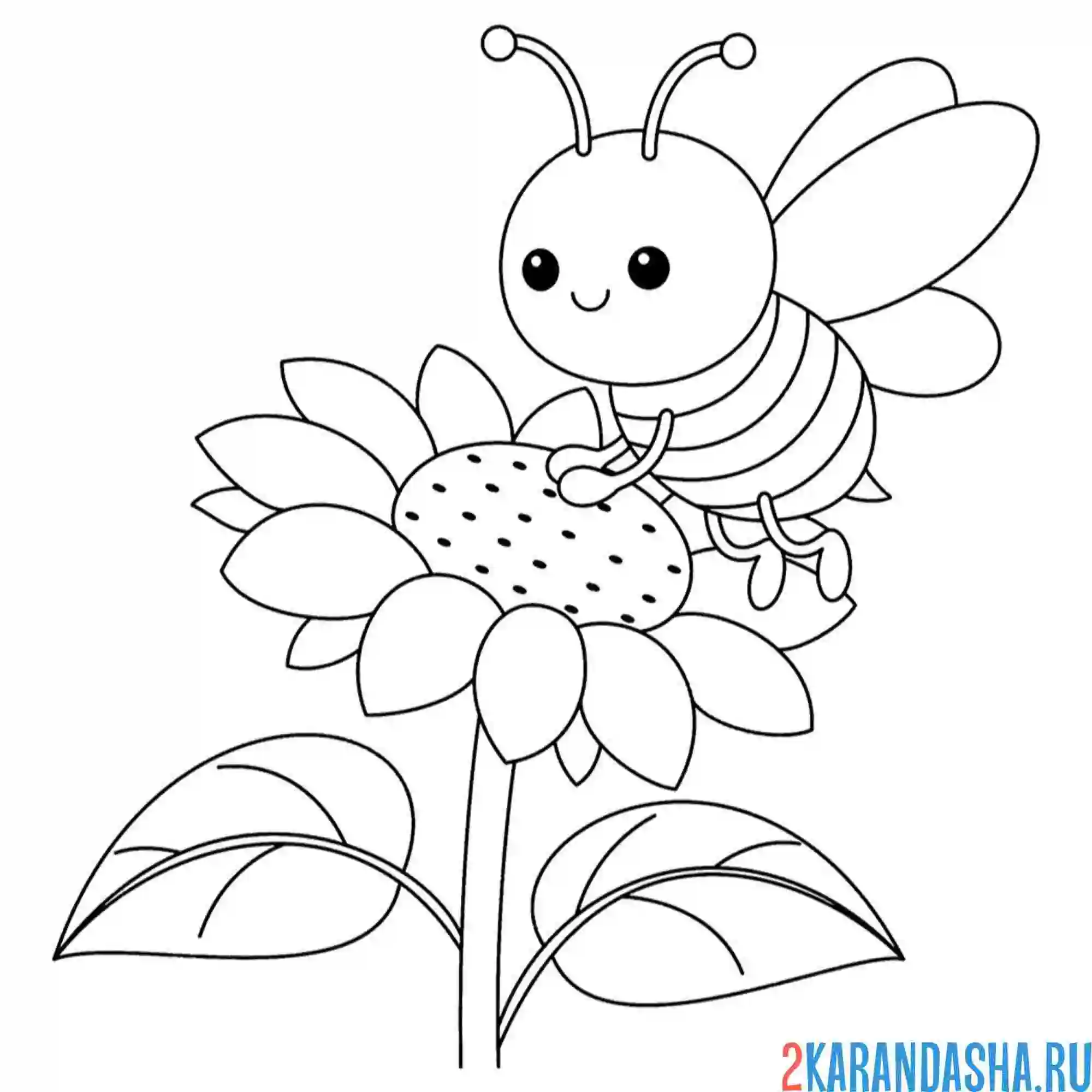 Раскраска цветочек для пчелы