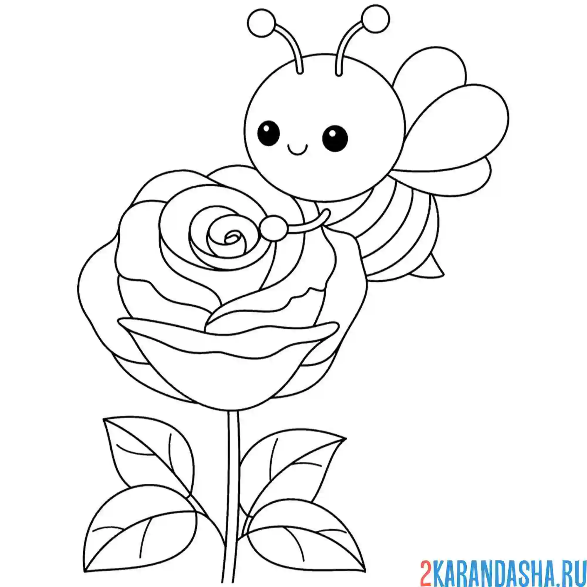 Раскраска пчела на розе