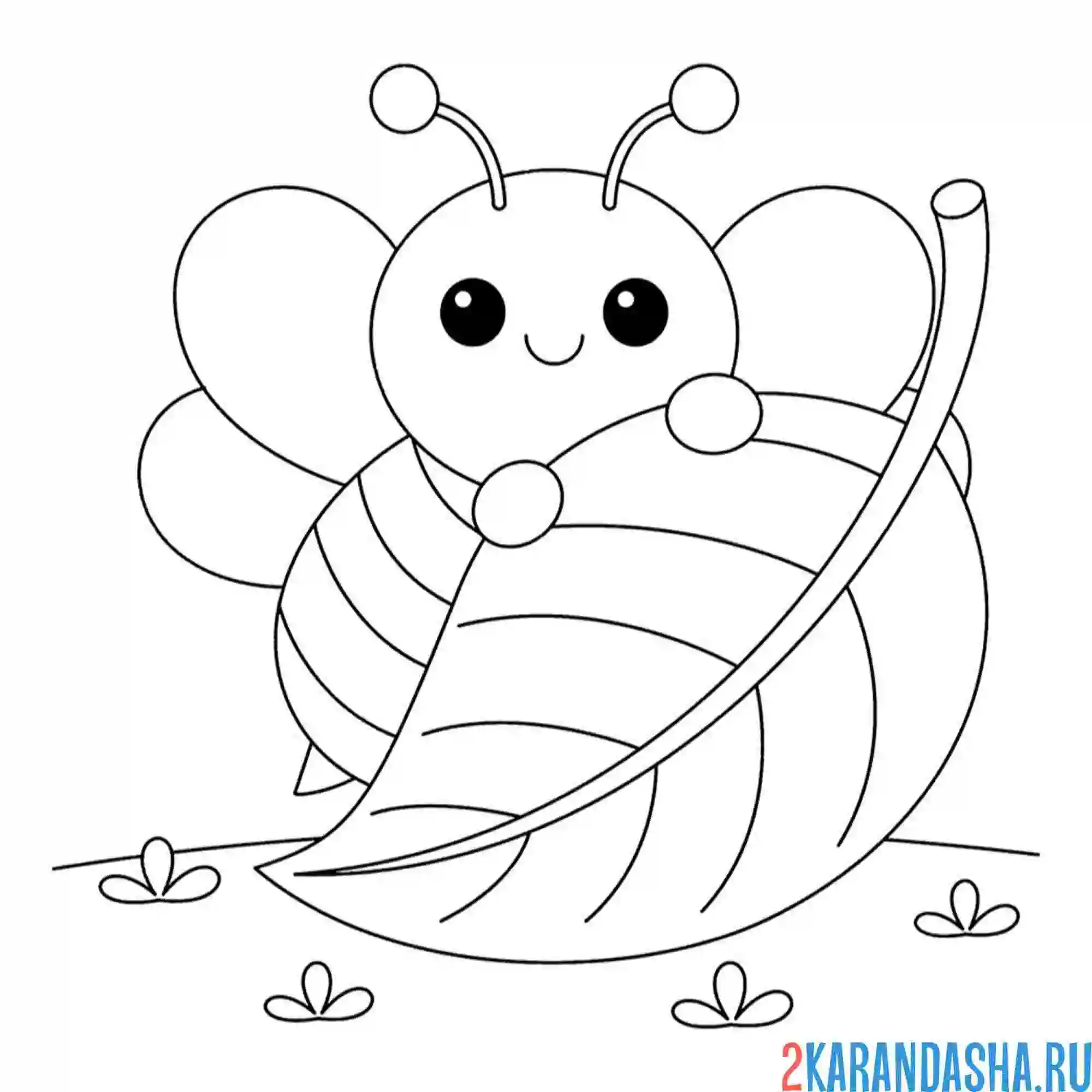 Раскраска листочек пчела