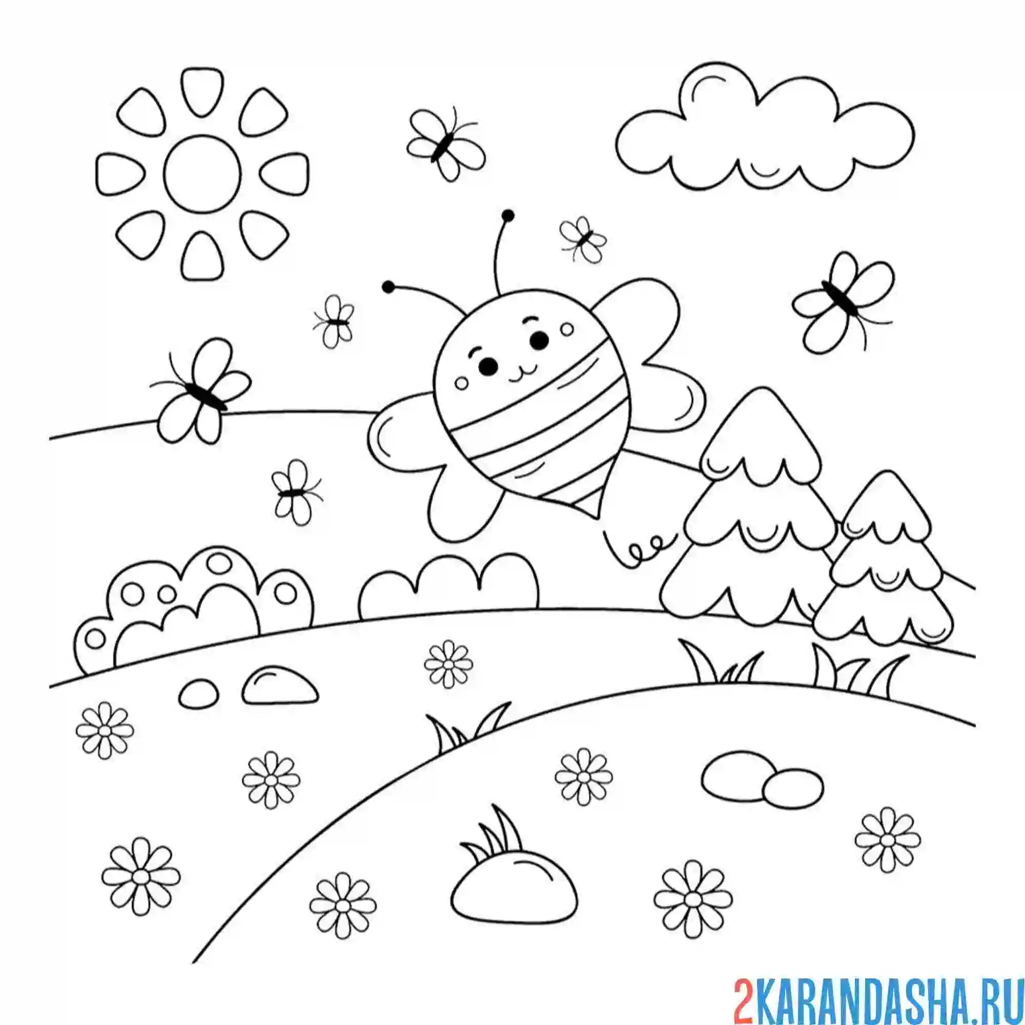 Раскраска пчела и поле