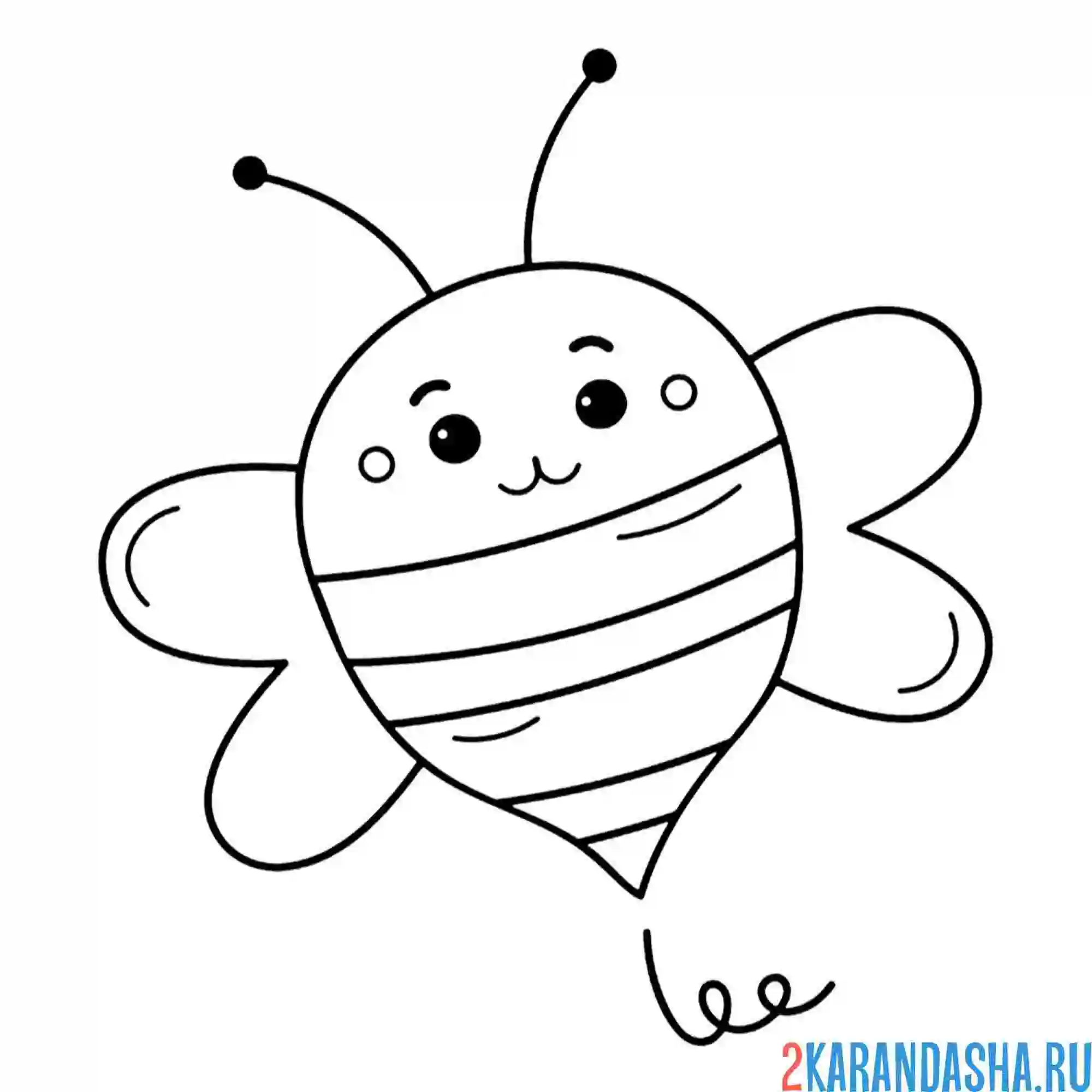 Раскраска пчела пин