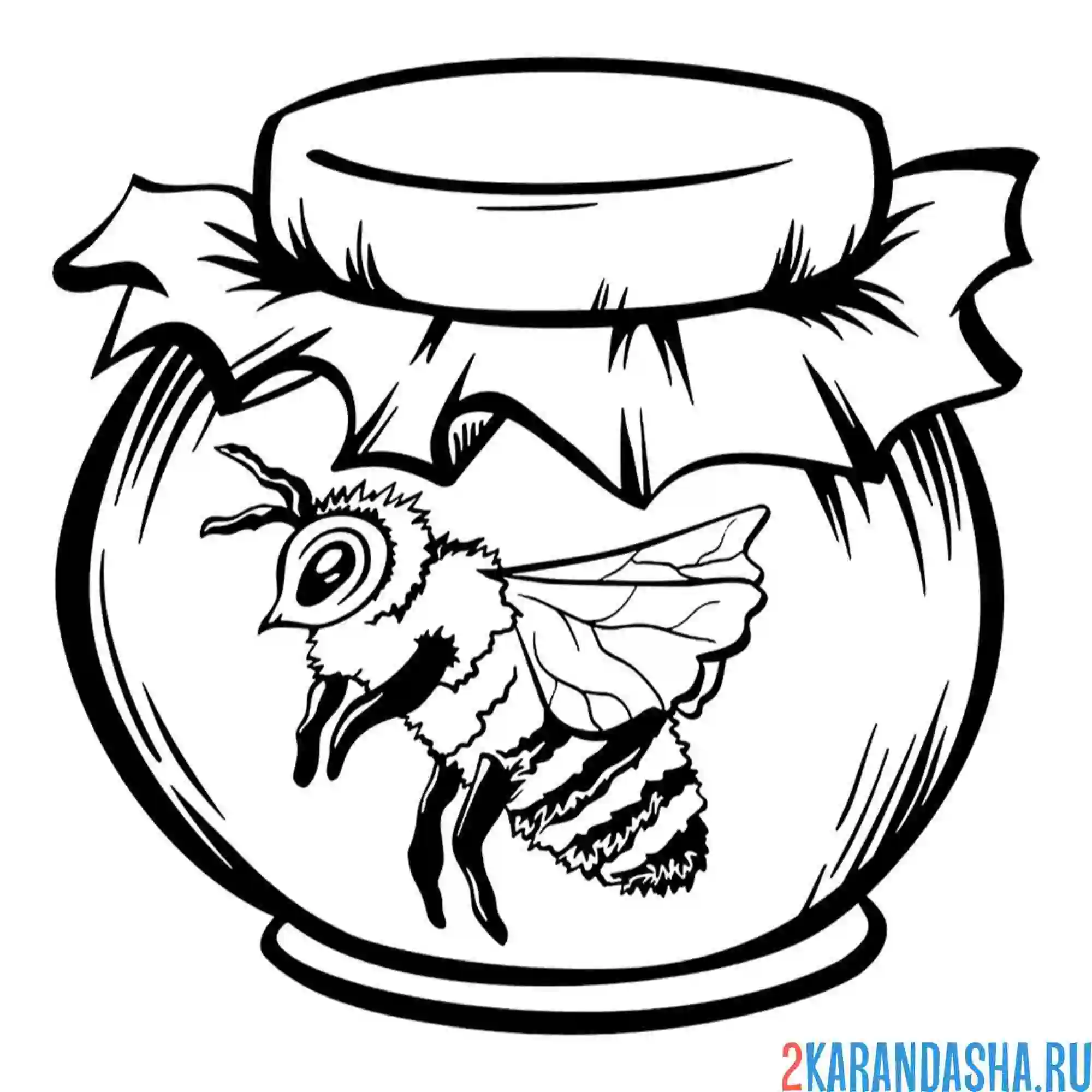 Раскраска пчела в банке