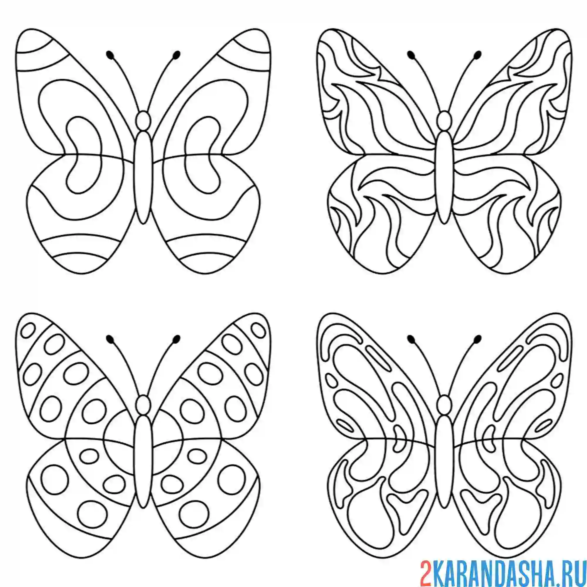 Раскраска четыре разных бабочки