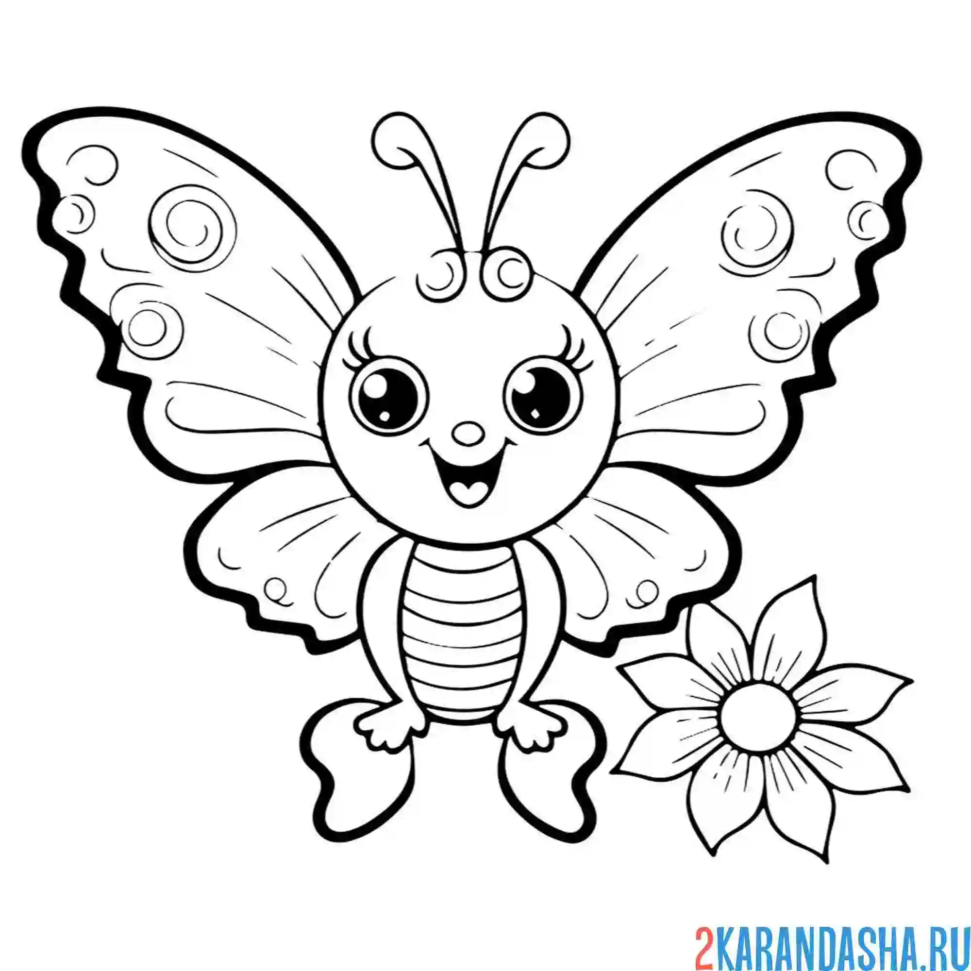 Раскраска милая мультяшная бабочка