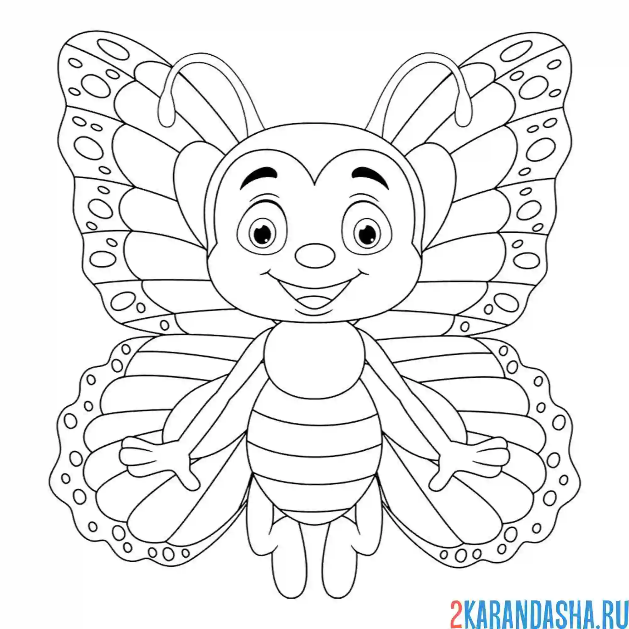 Раскраска резные крылья бабочка