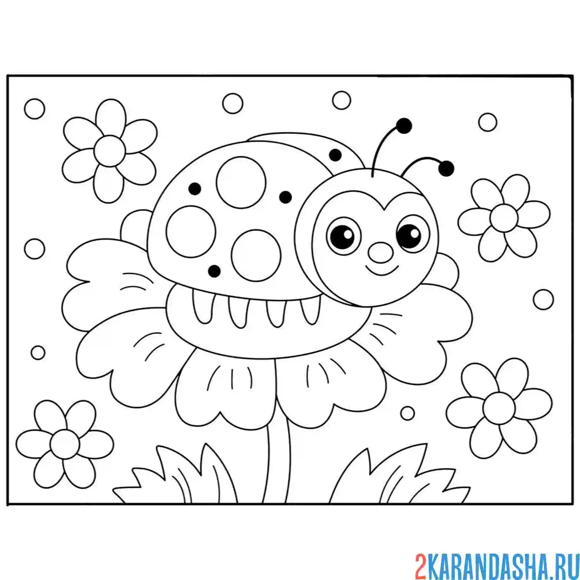 Раскраска божья коровка на цветочек