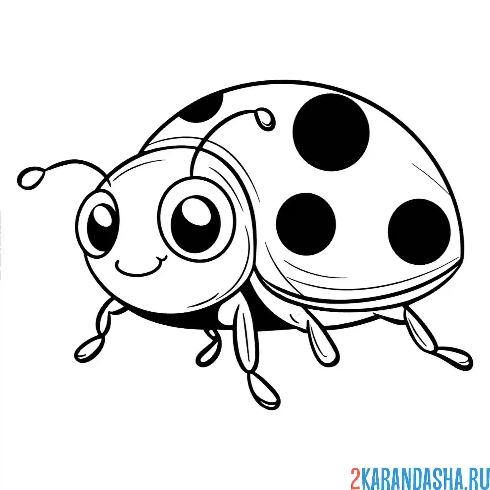 Раскраска почти как настоящая божья коровка