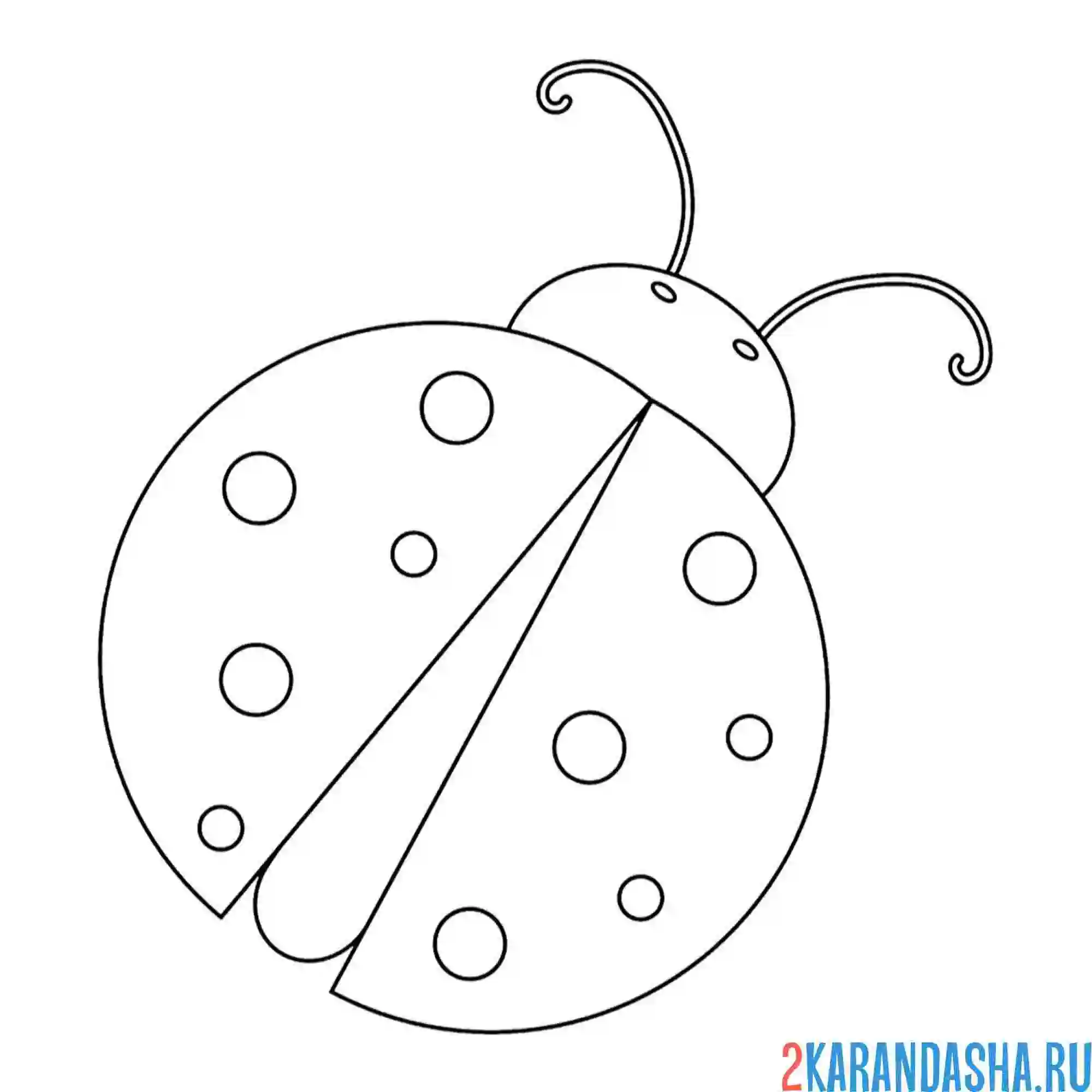 Раскраска божья коровка для самых маленьких