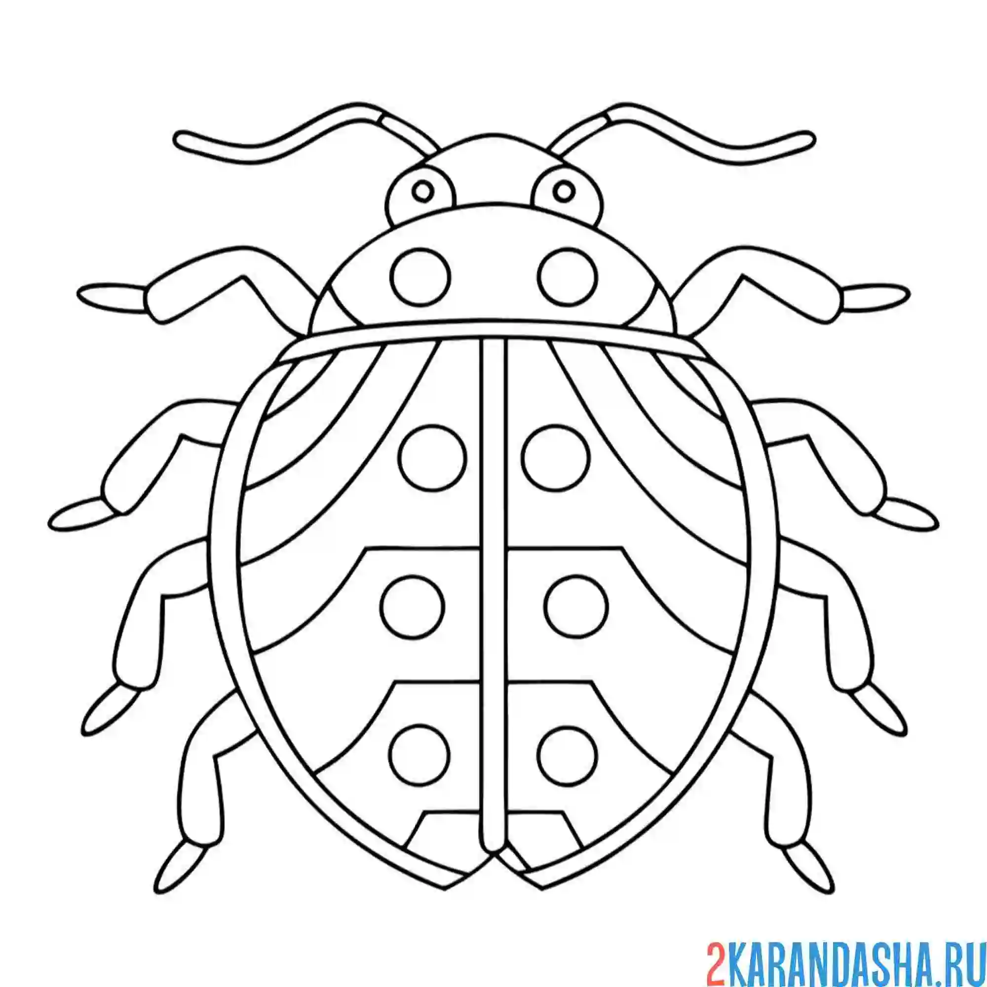 Раскраска божья коровка контур