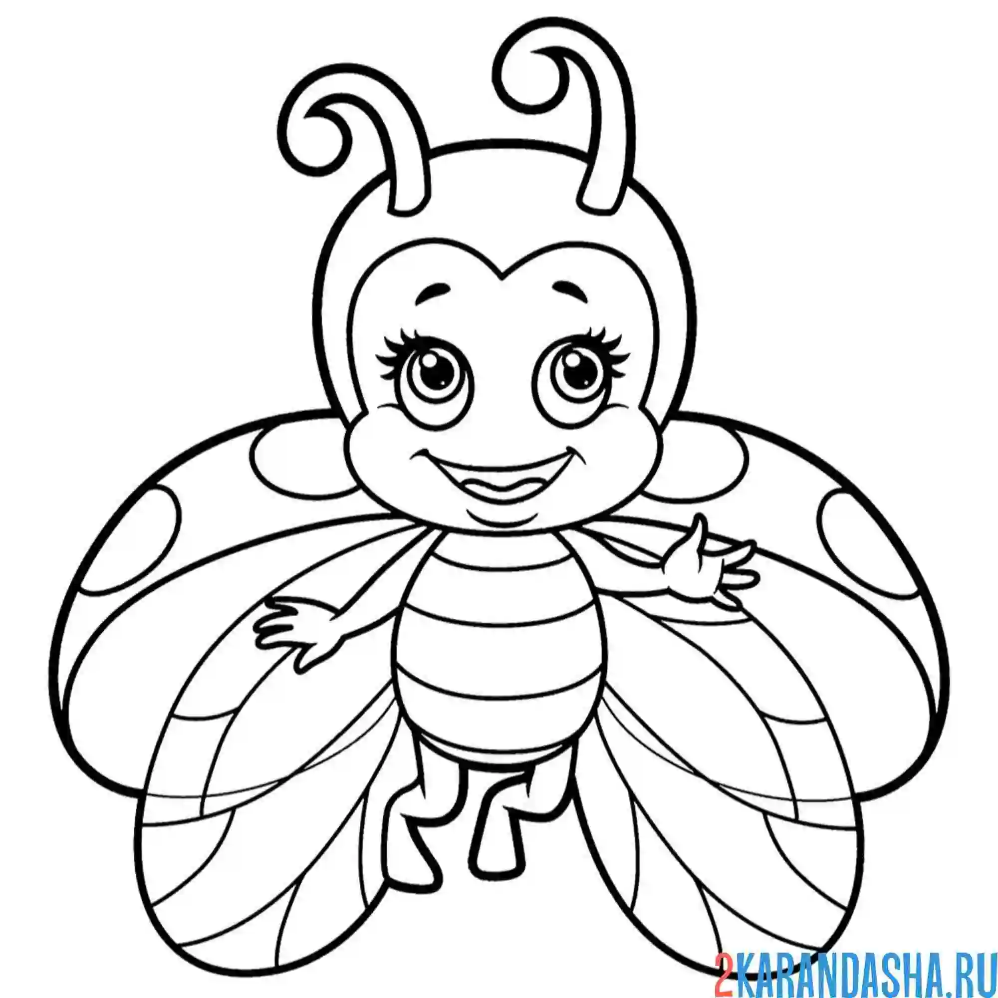 Раскраска божья коровка крылья