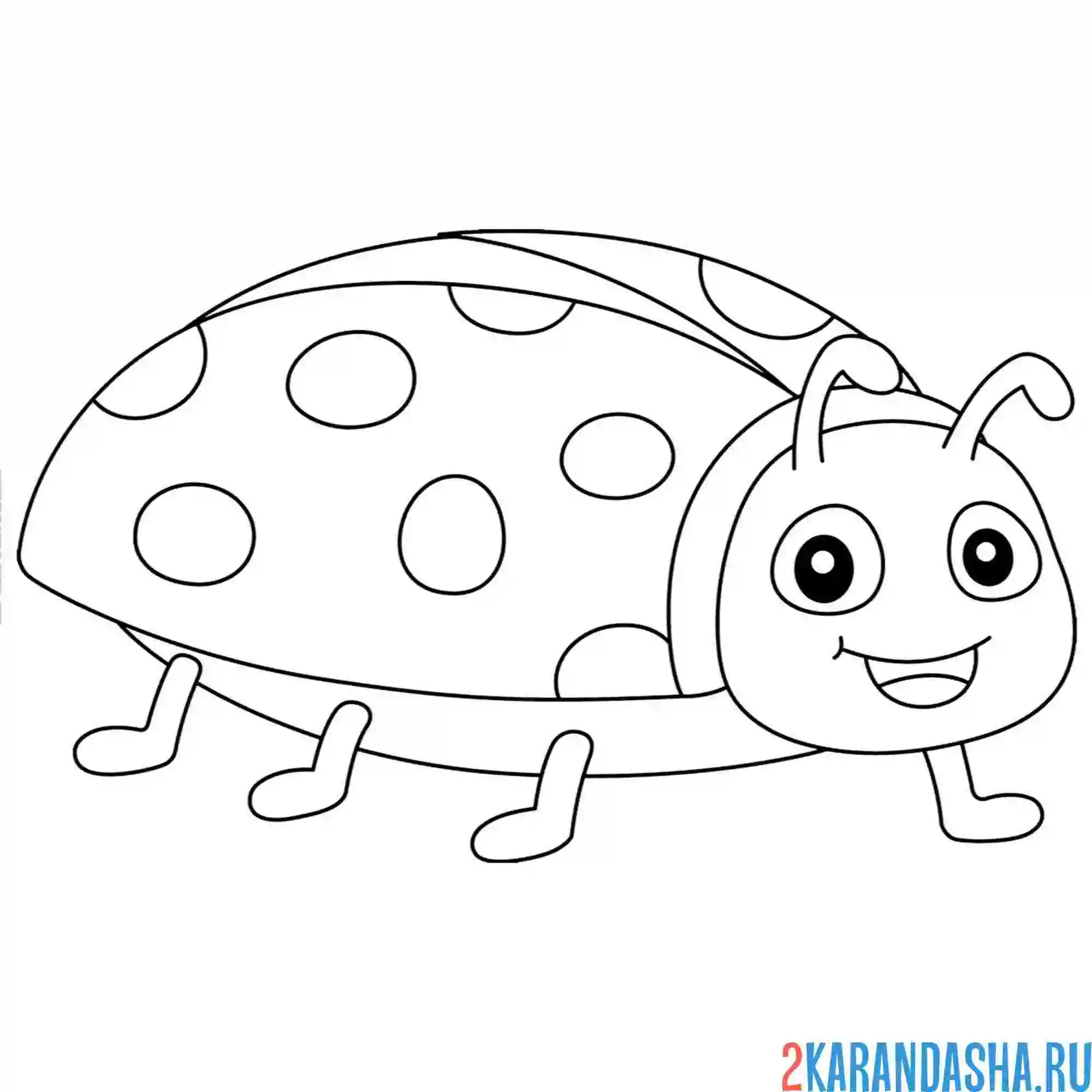 Раскраска божья коровка бежит