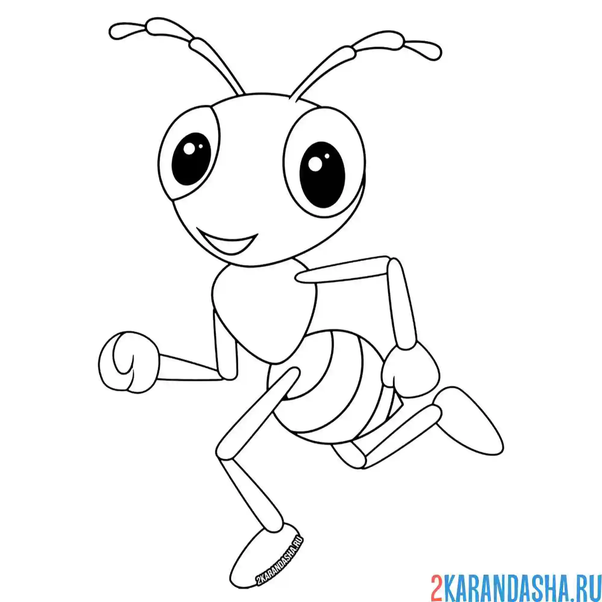 Раскраска бег спортсмена муравья