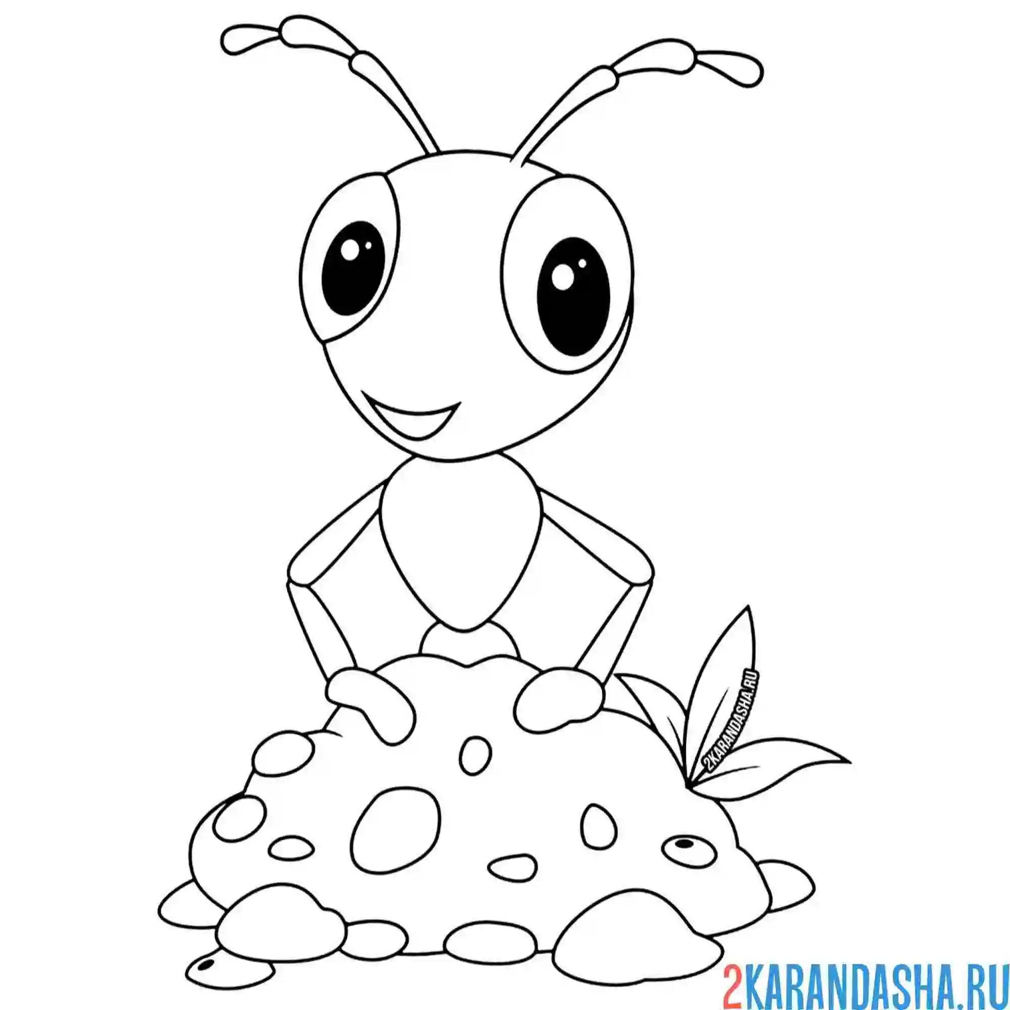 Раскраска муравей и камушки