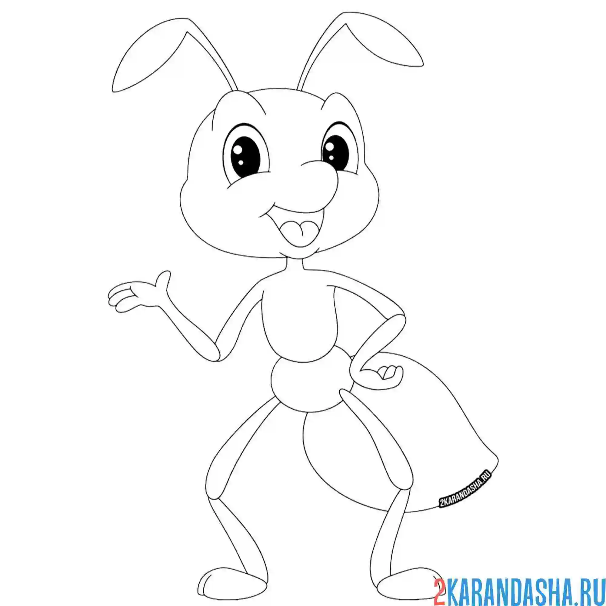 Раскраска муравей красивый