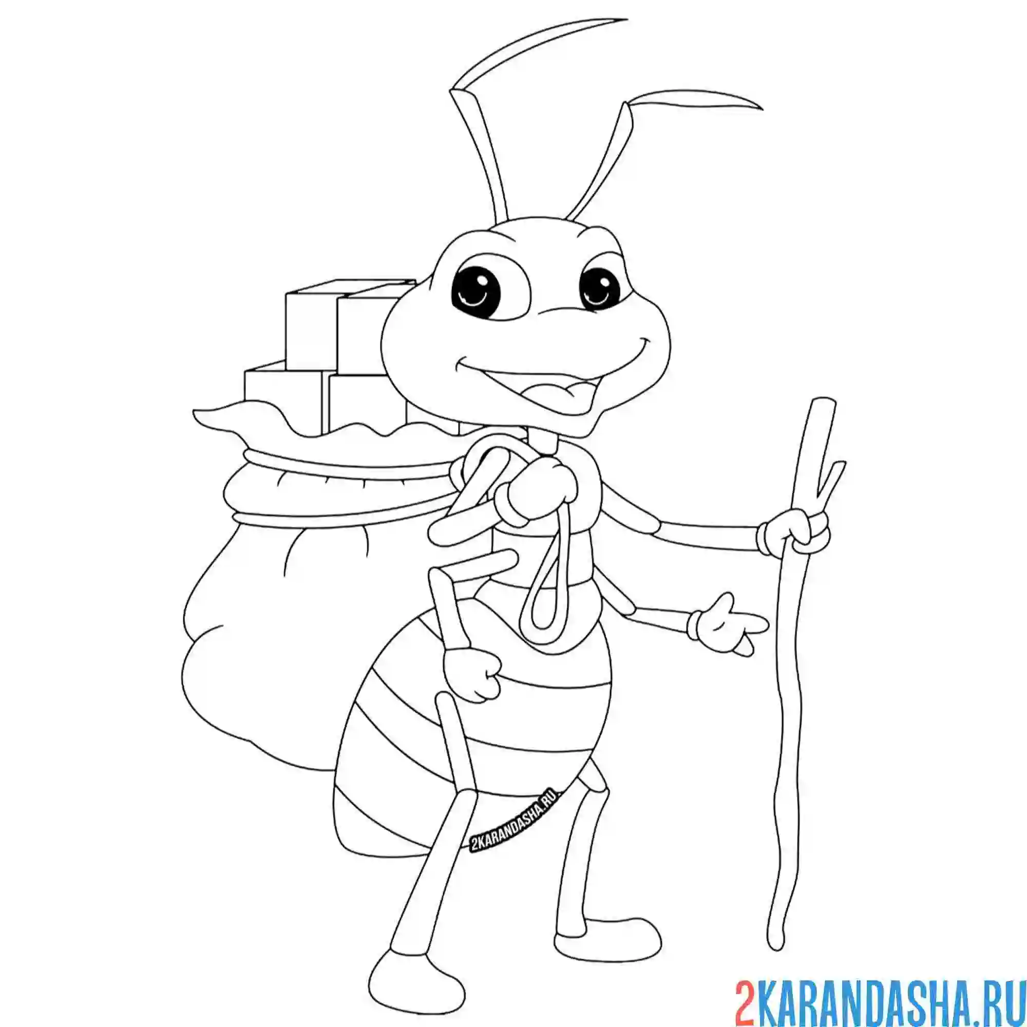 Раскраска муравей с едой