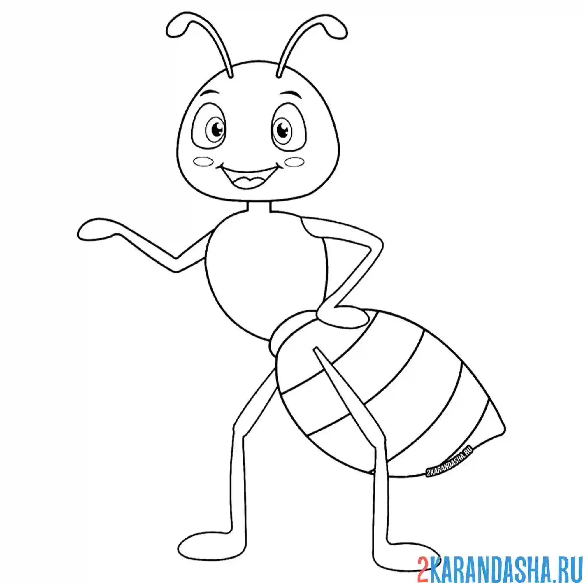 Раскраска смышленный муравей