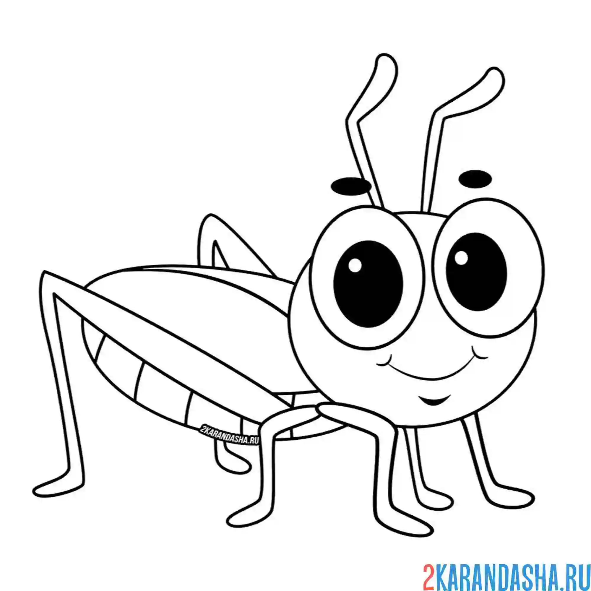 Раскраска мультяшный кузнечик