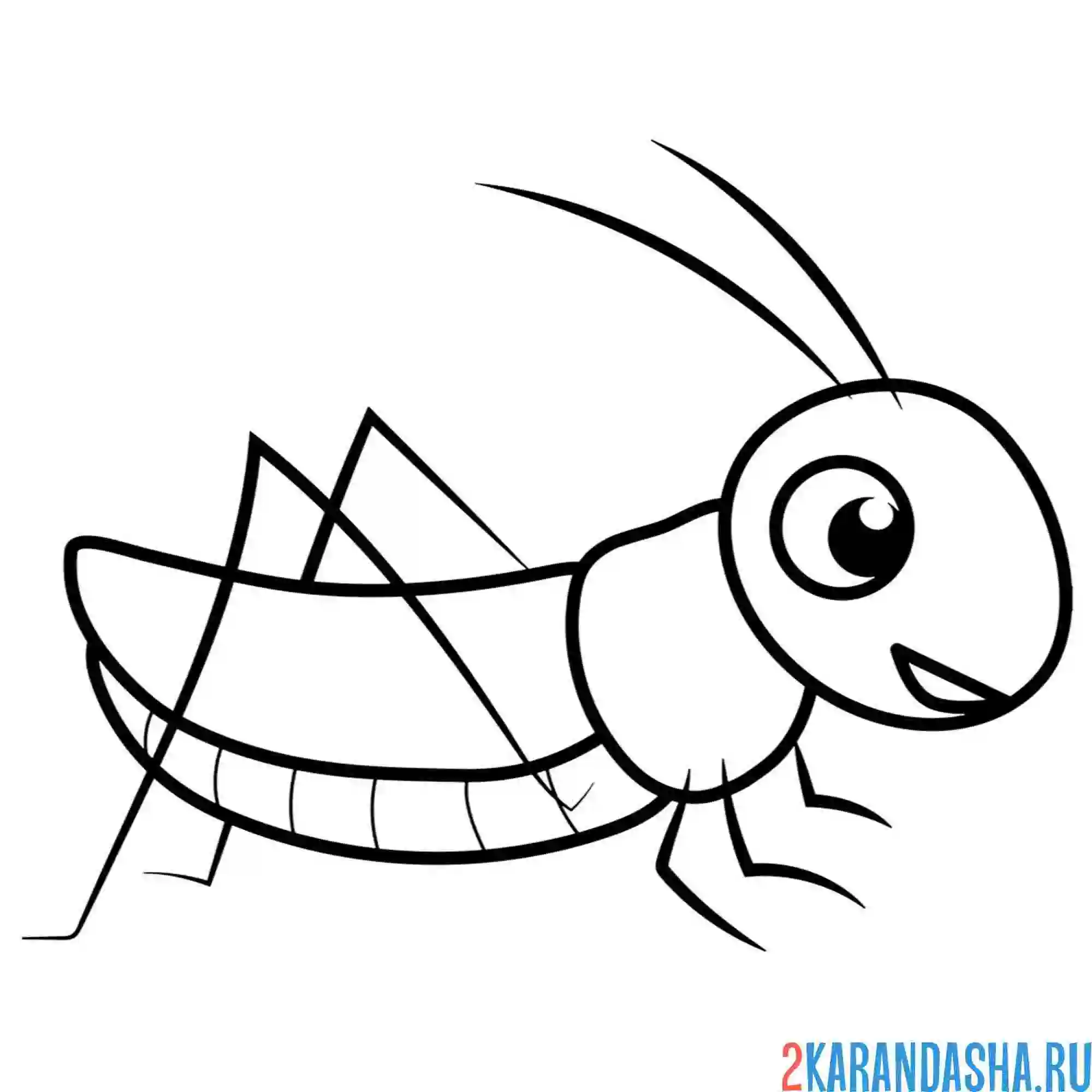 Раскраска кузнечик простой