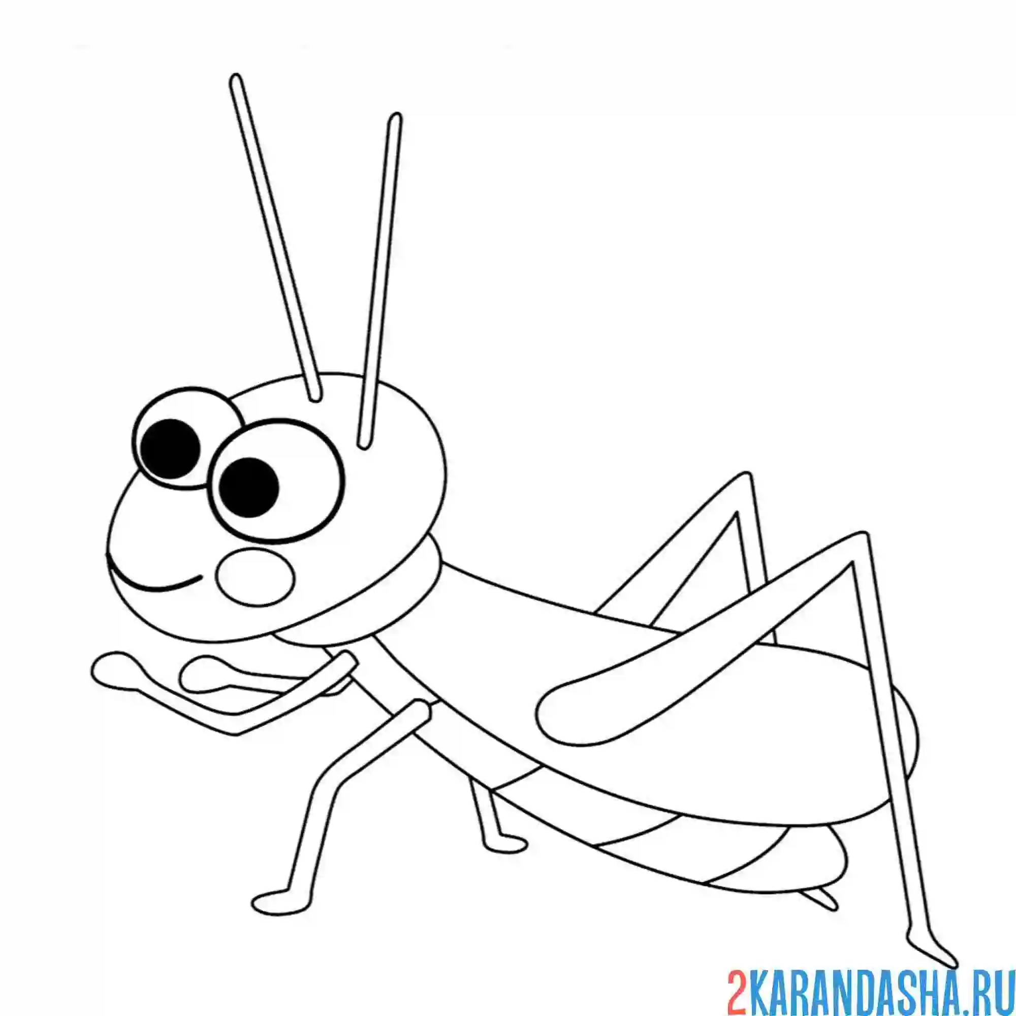 Раскраска кузнечик лапки
