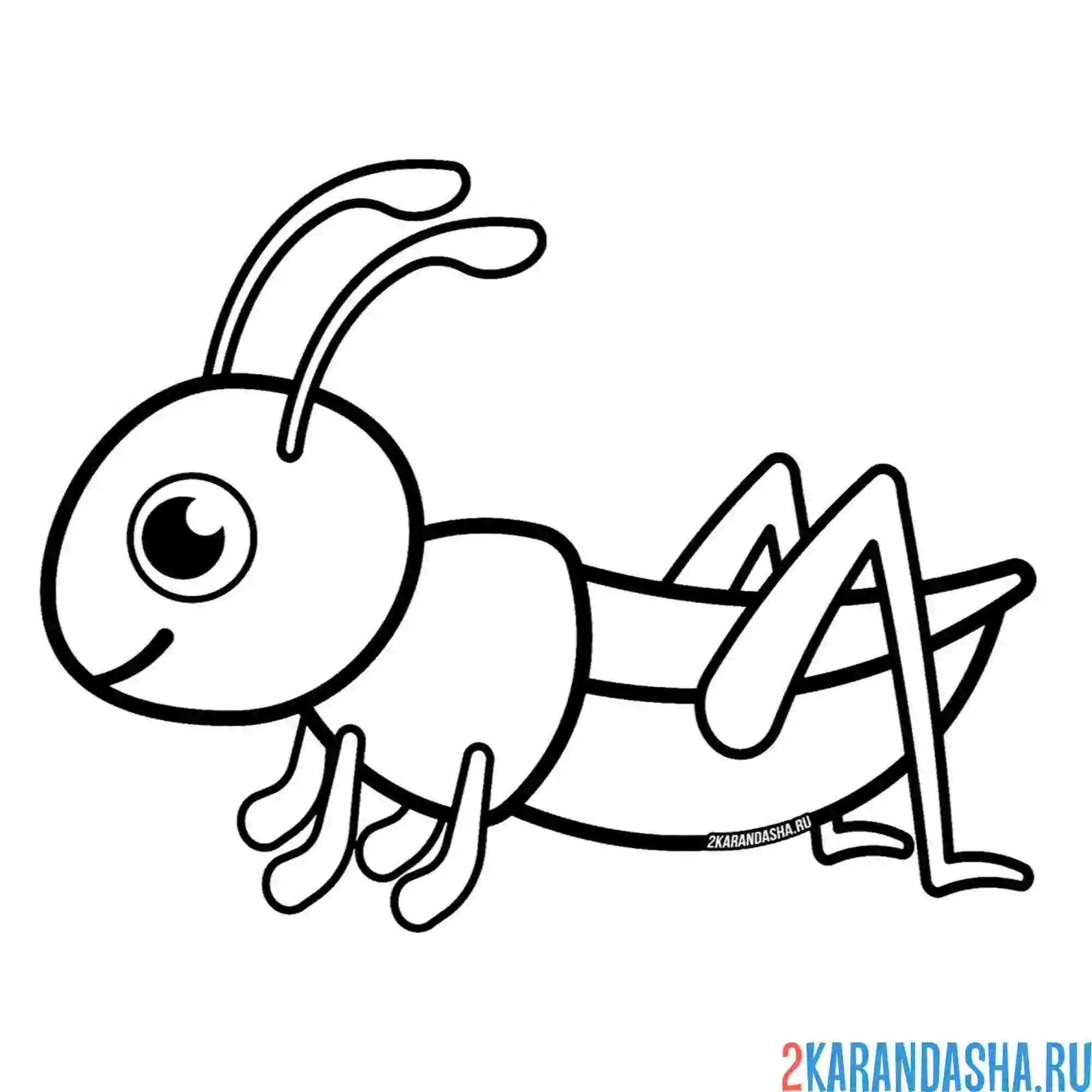 Раскраска кузнечик вид сбоку