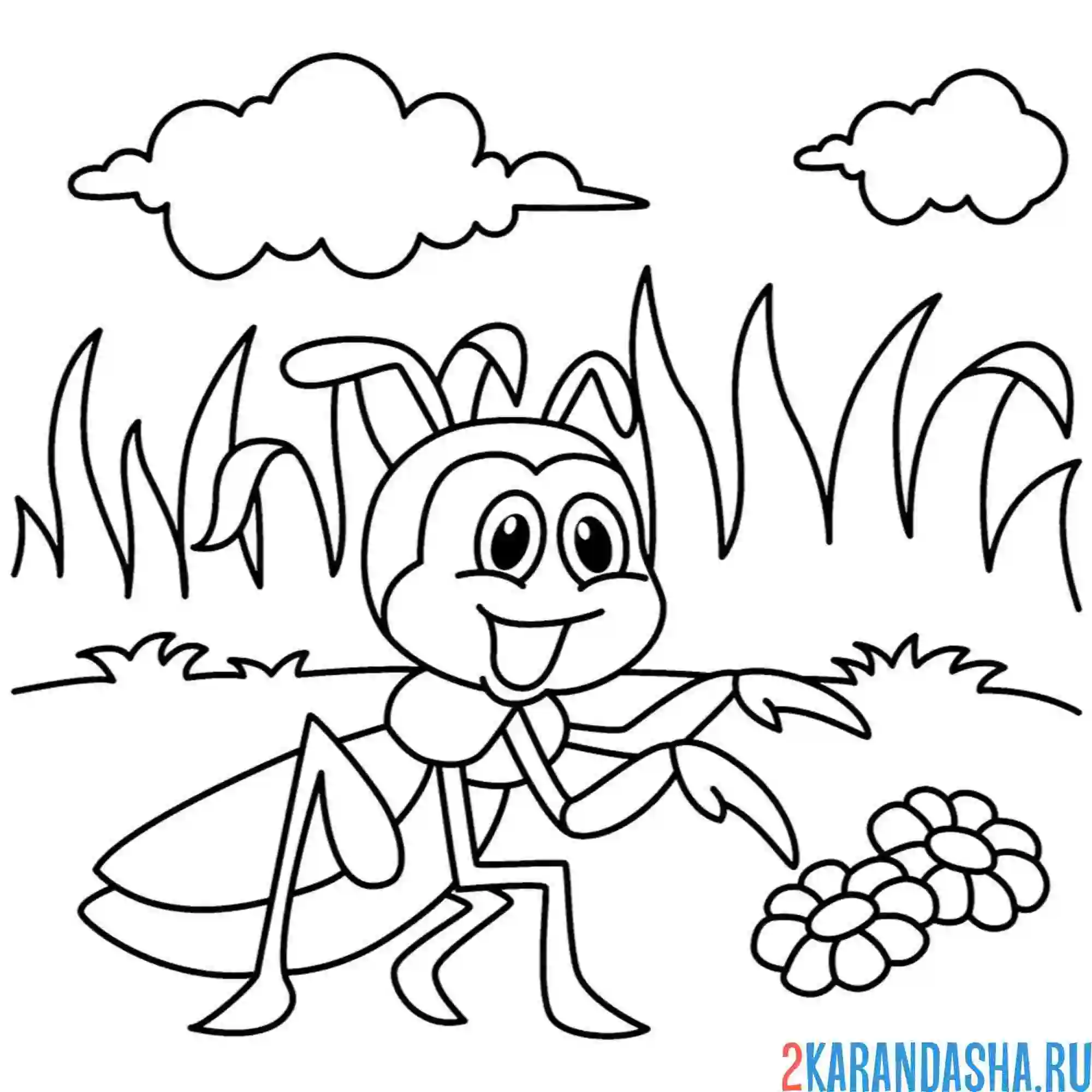 Раскраска кузнечик нашел цветочки