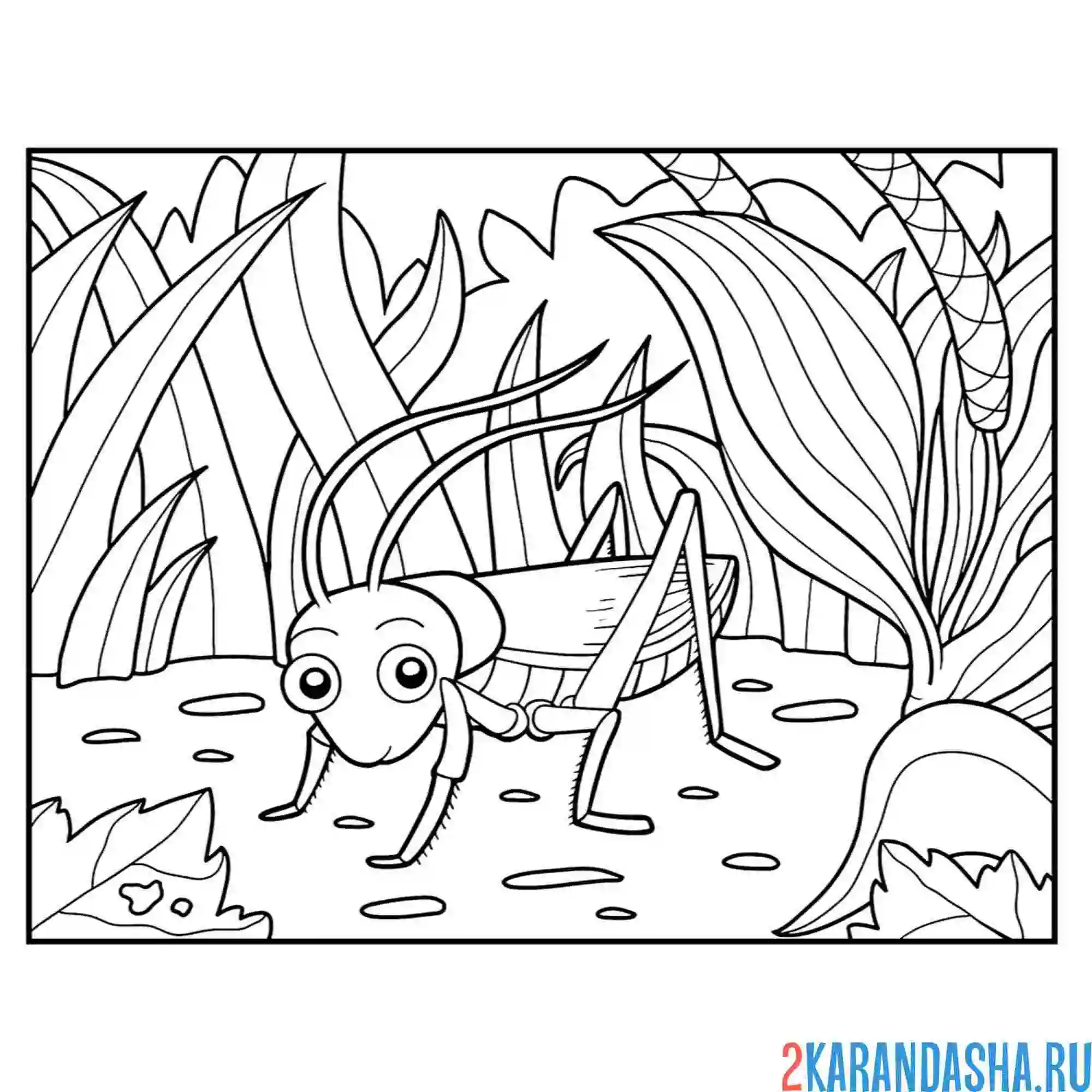 Раскраска кузнечик зеленый