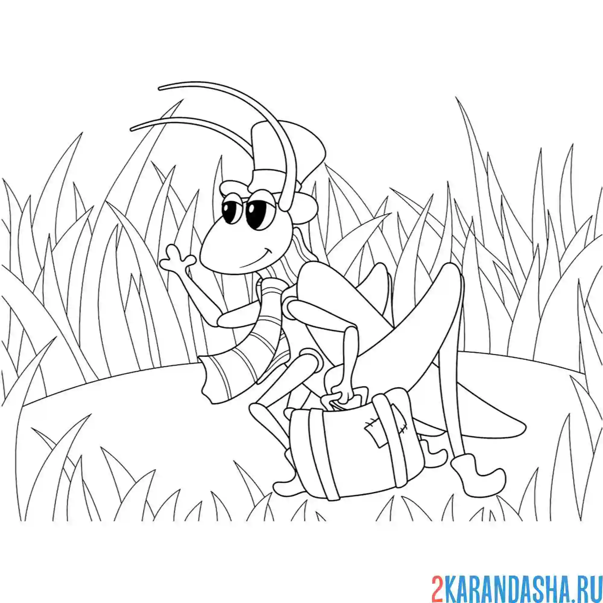 Раскраска кузнечик в траве