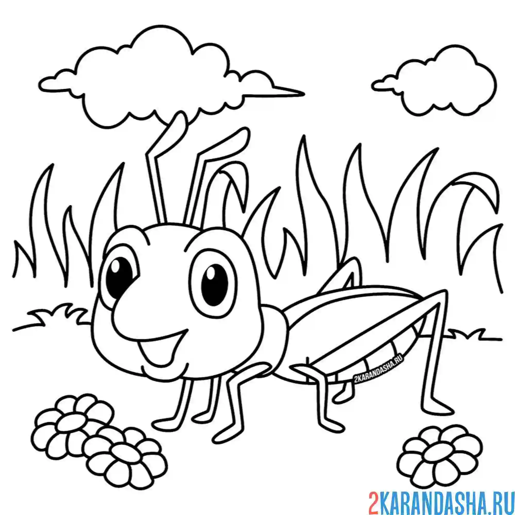 Раскраска кузнечик в травке