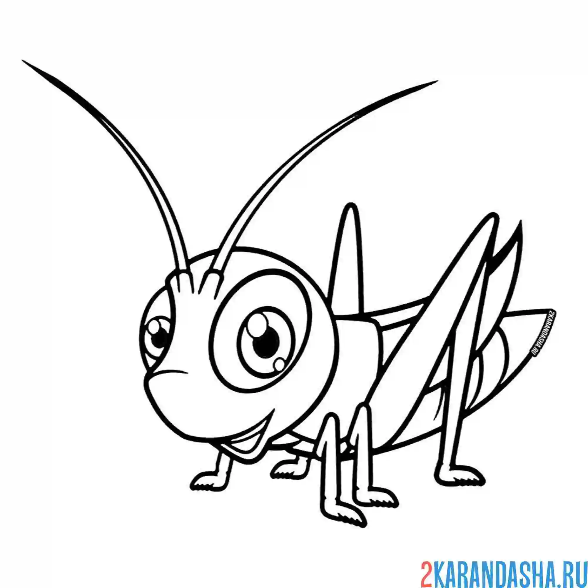 Раскраска кузнечик пин