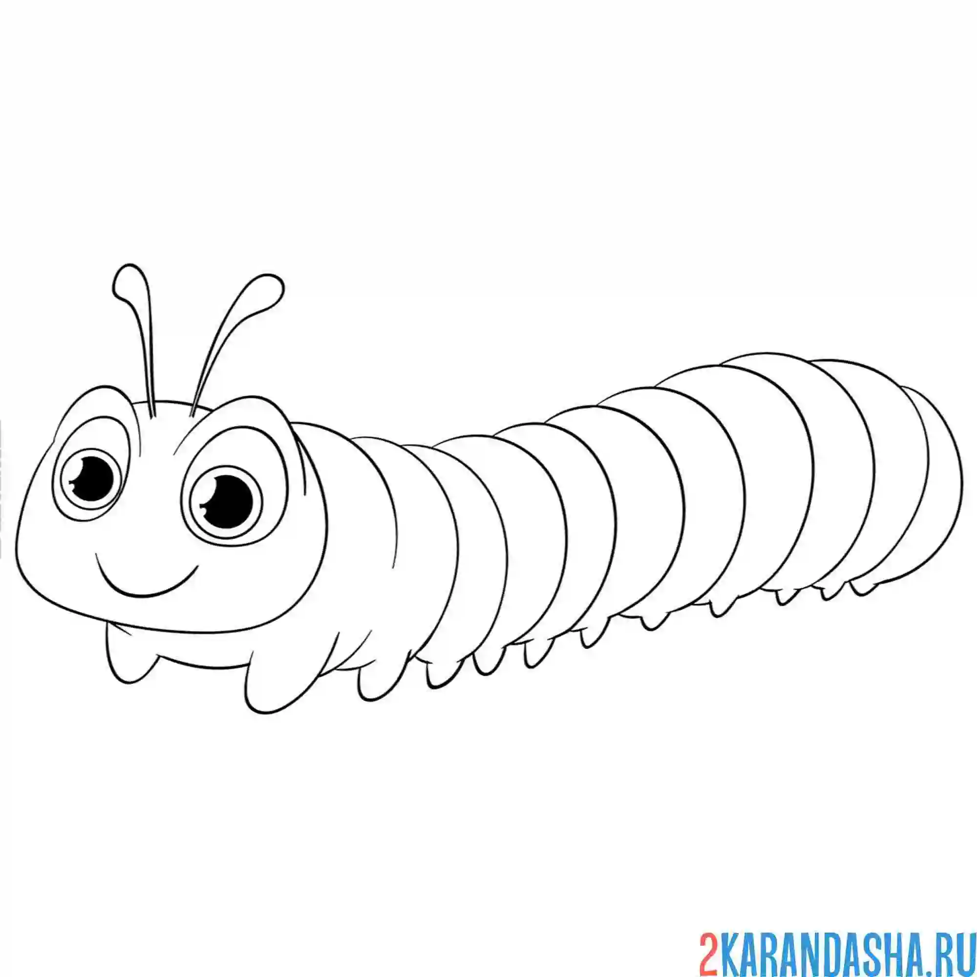 Раскраска длинная гусеница